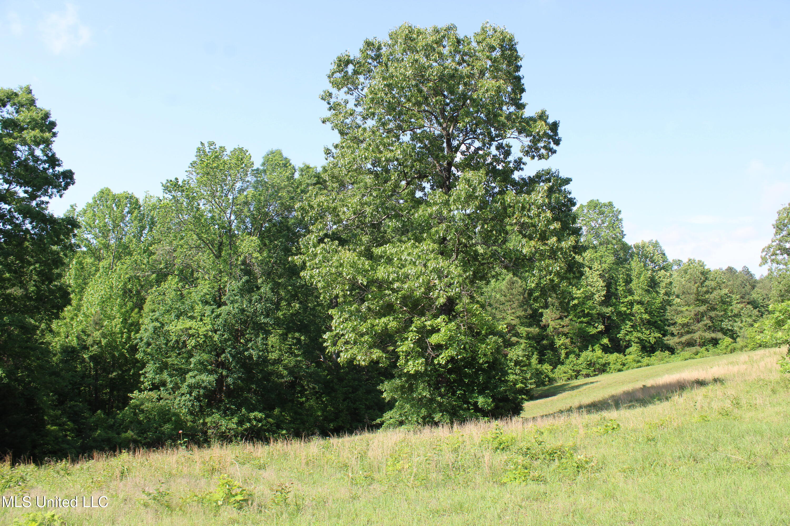 271 Winborn Tower Road, Potts Camp, Mississippi image 34