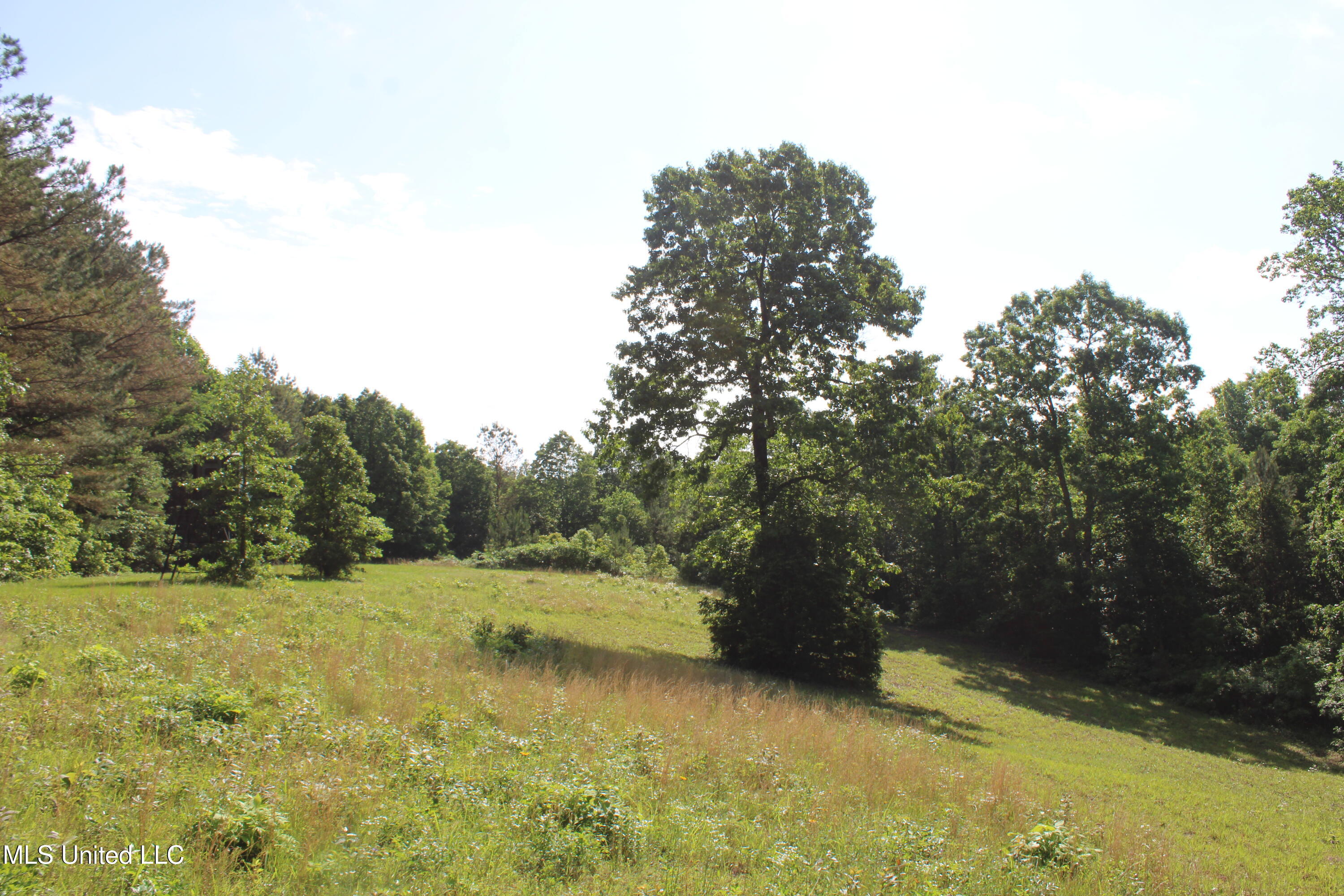271 Winborn Tower Road, Potts Camp, Mississippi image 32