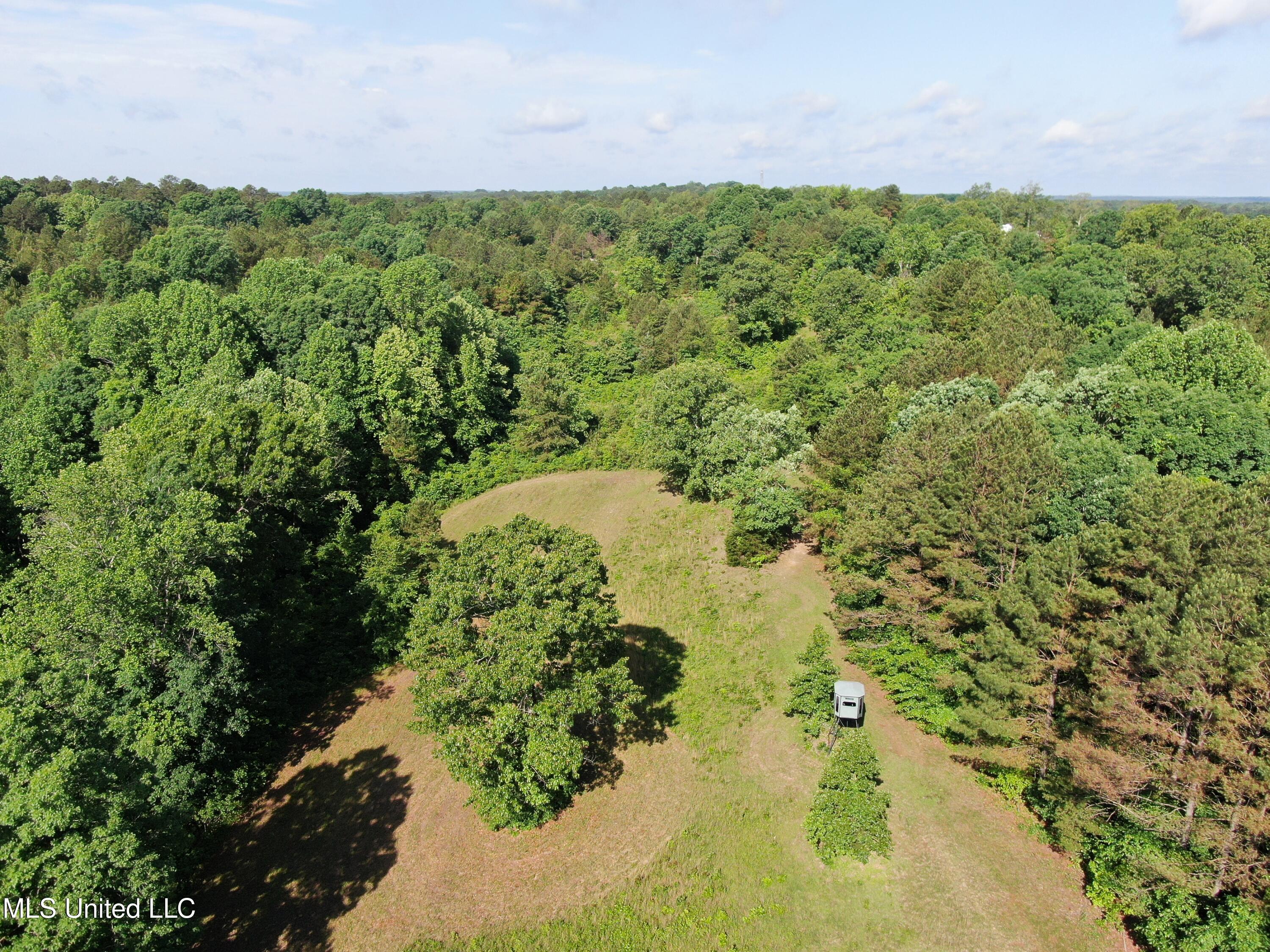 271 Winborn Tower Road, Potts Camp, Mississippi image 11