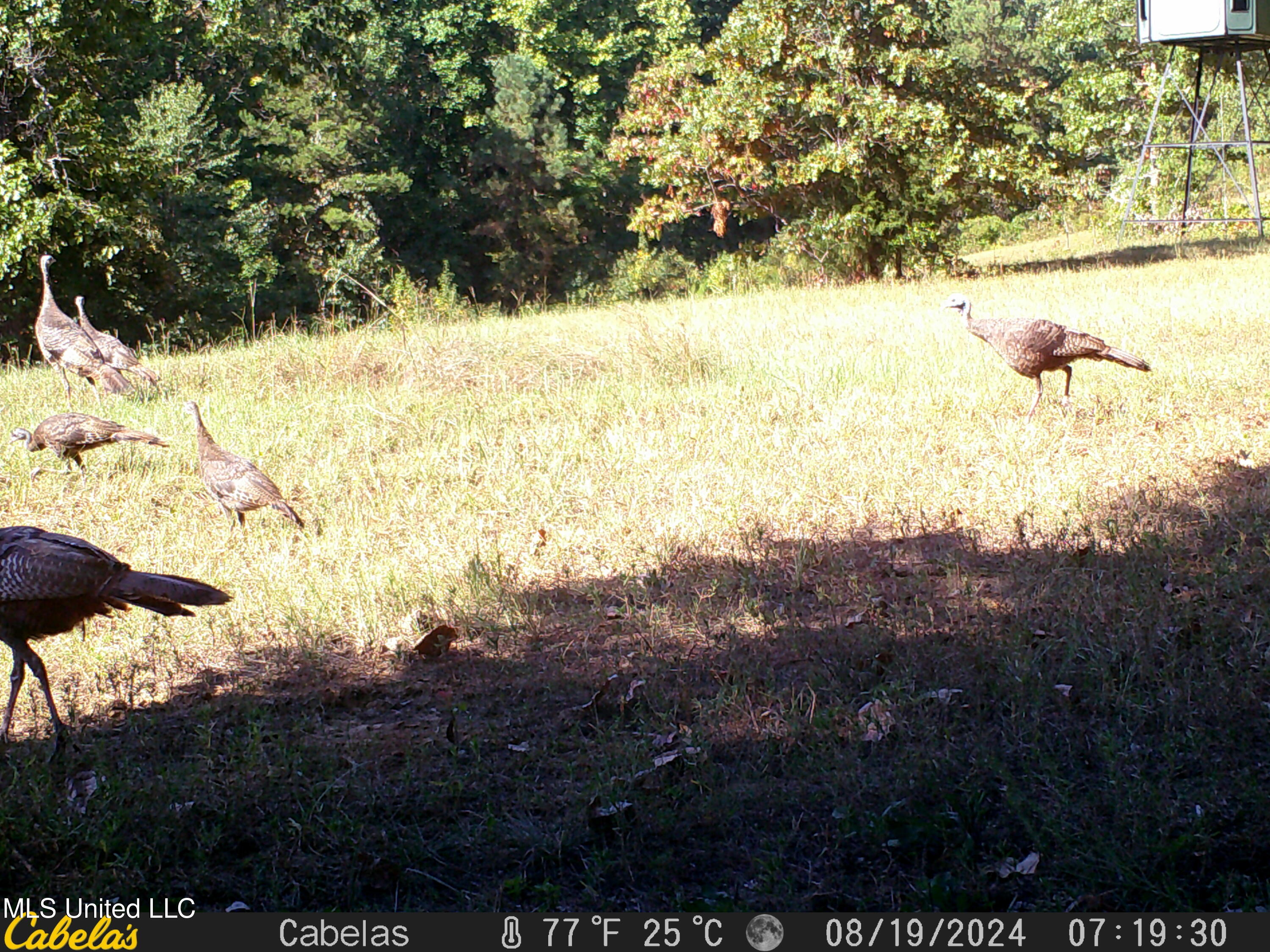 271 Winborn Tower Road, Potts Camp, Mississippi image 49