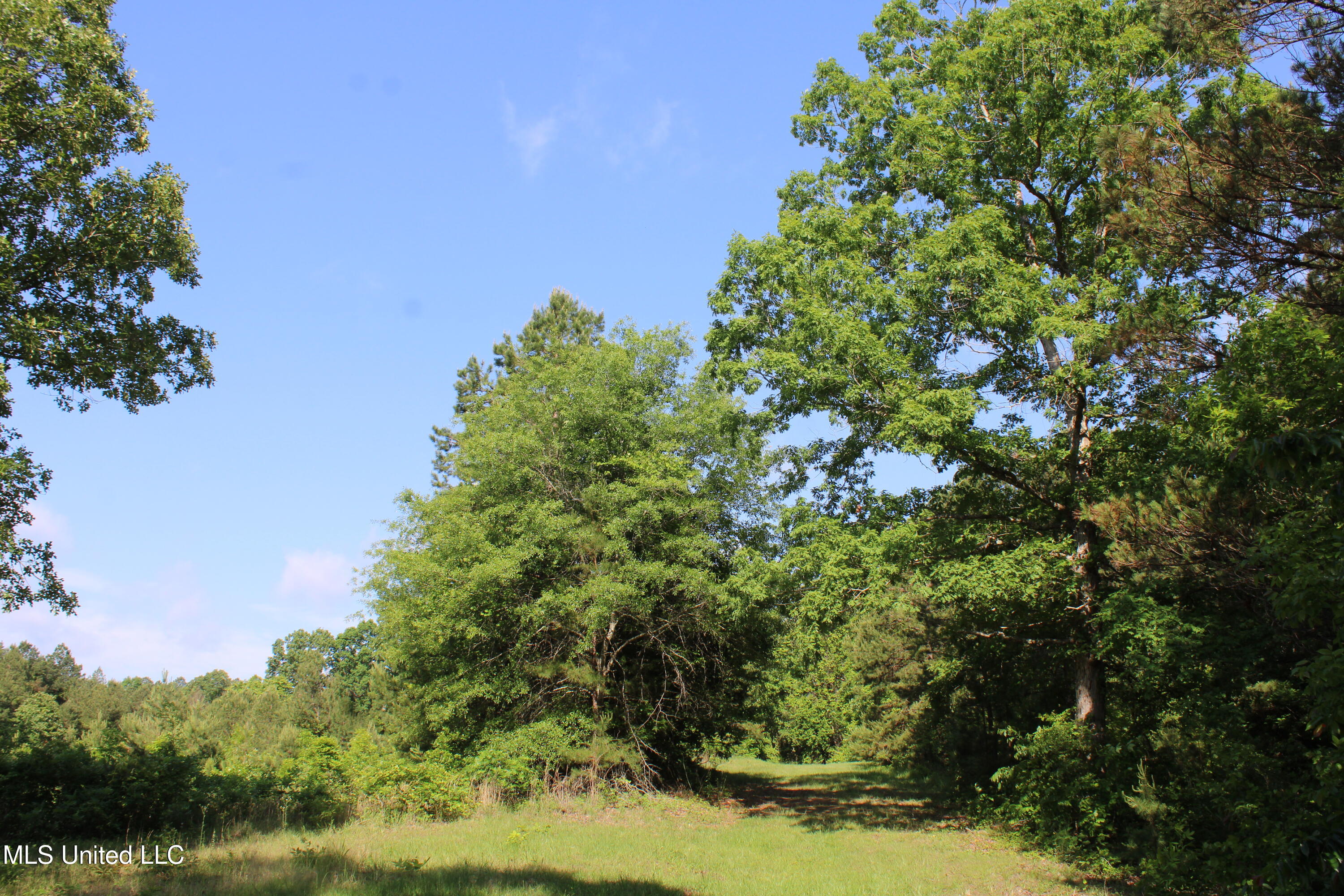 271 Winborn Tower Road, Potts Camp, Mississippi image 36