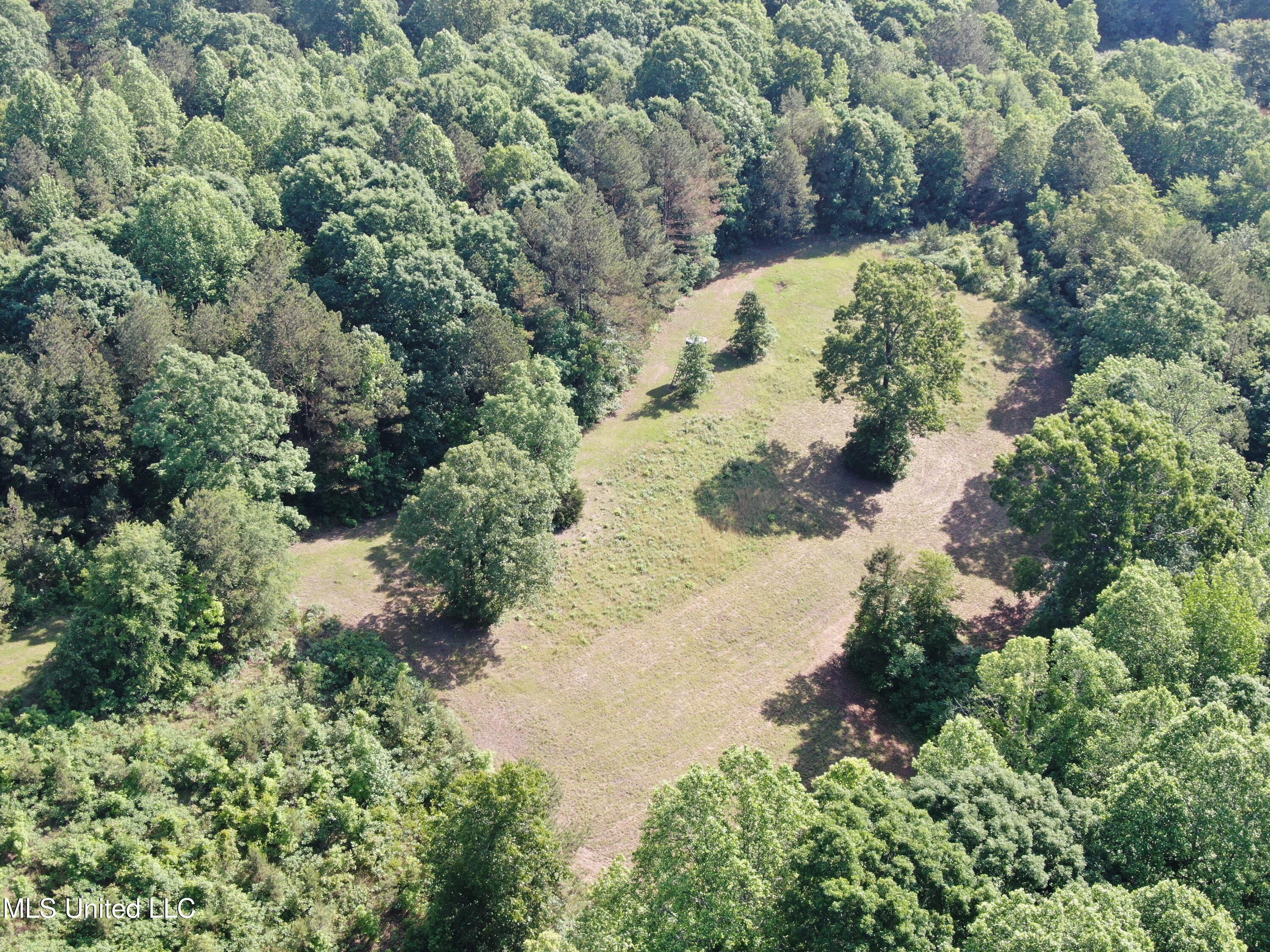 271 Winborn Tower Road, Potts Camp, Mississippi image 1