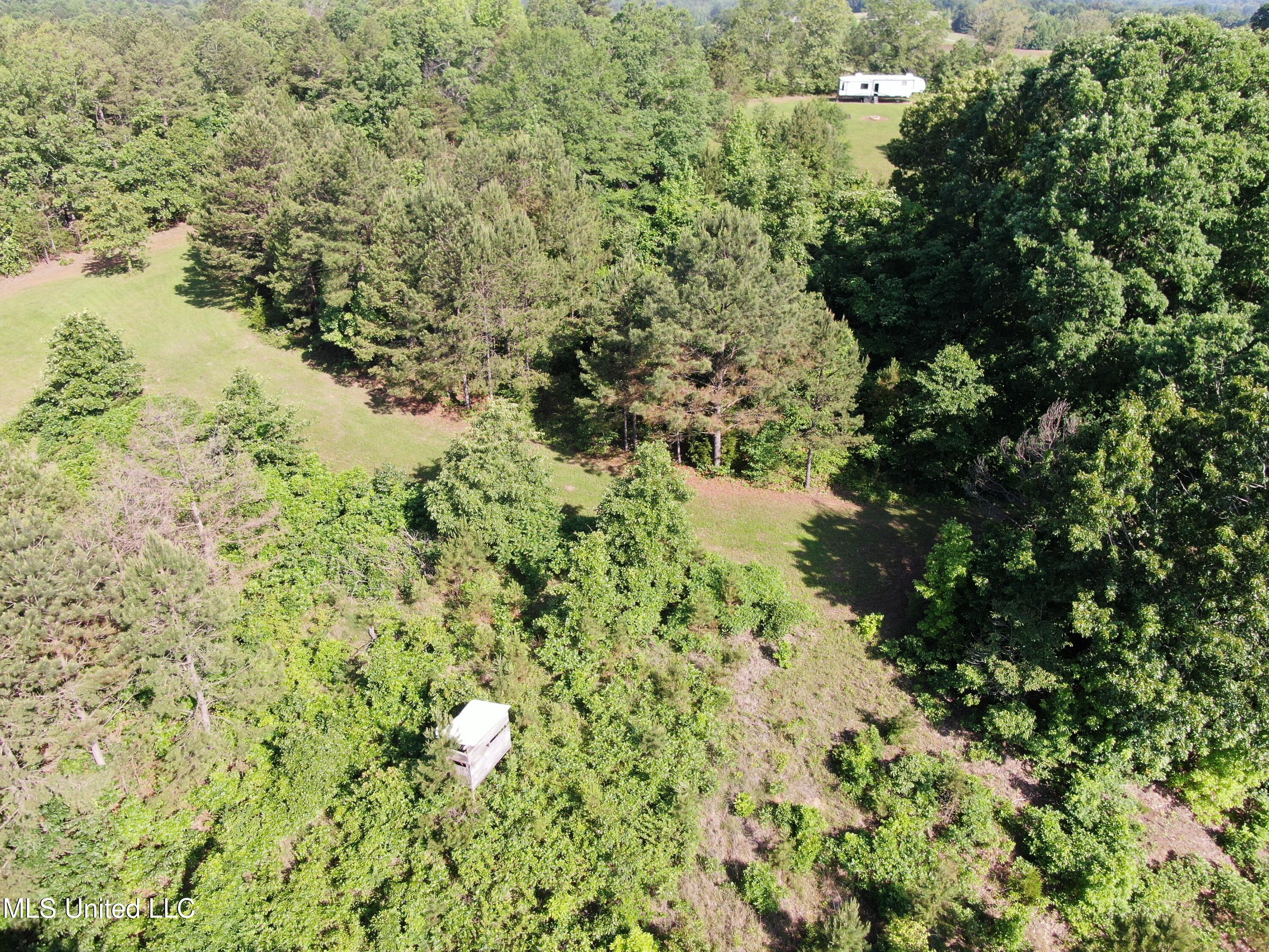 271 Winborn Tower Road, Potts Camp, Mississippi image 12
