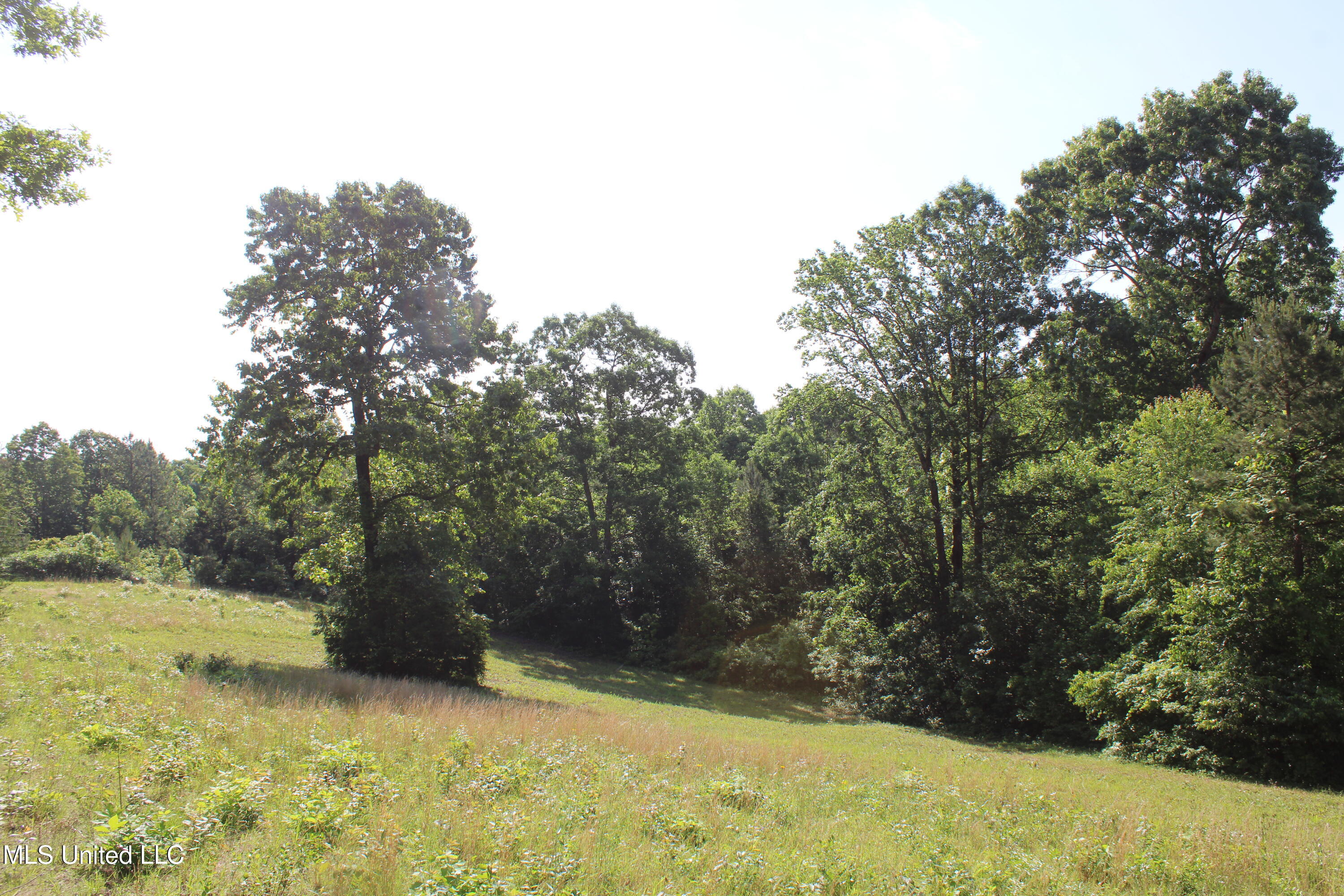 271 Winborn Tower Road, Potts Camp, Mississippi image 31