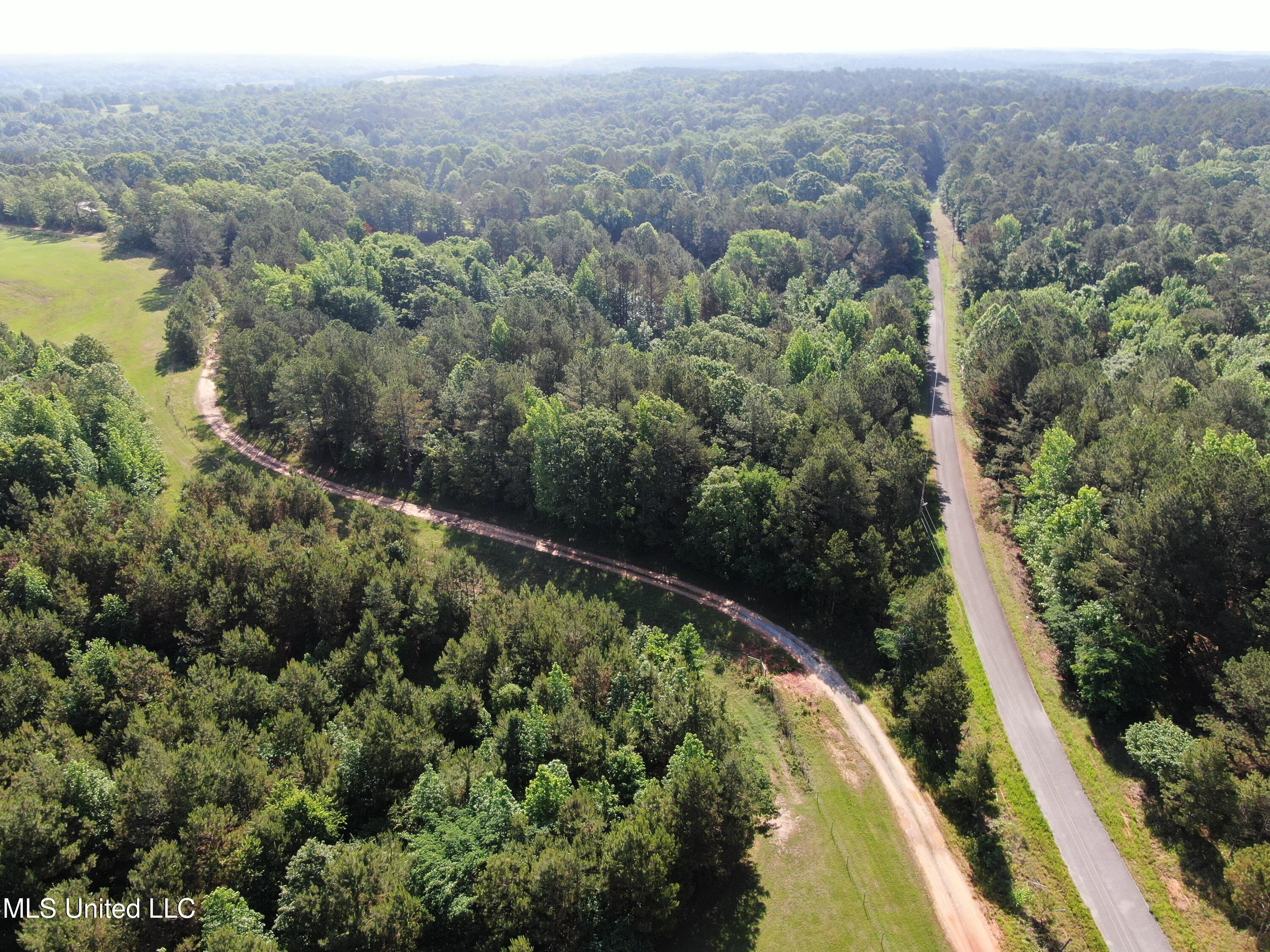 271 Winborn Tower Road, Potts Camp, Mississippi image 19