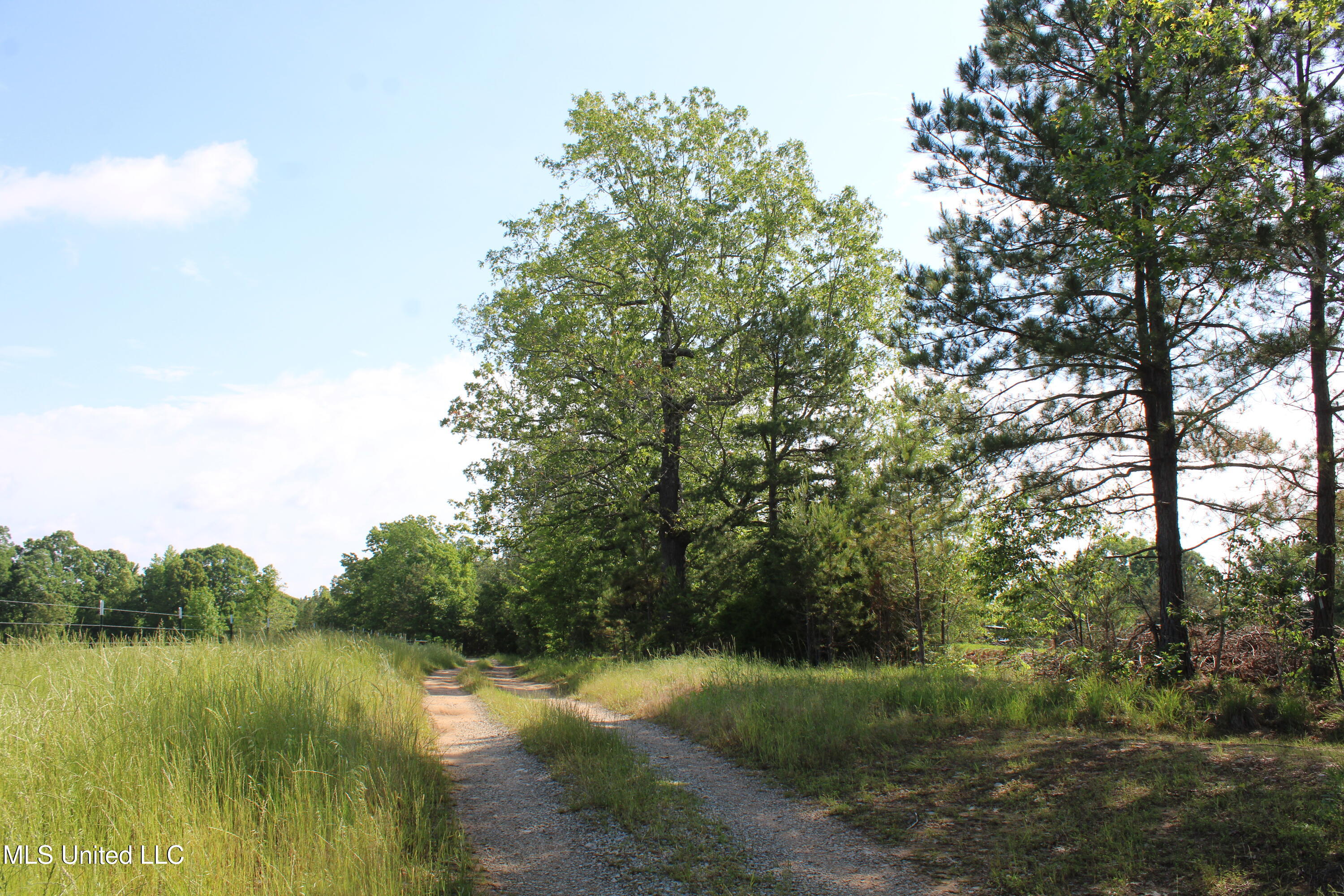271 Winborn Tower Road, Potts Camp, Mississippi image 45