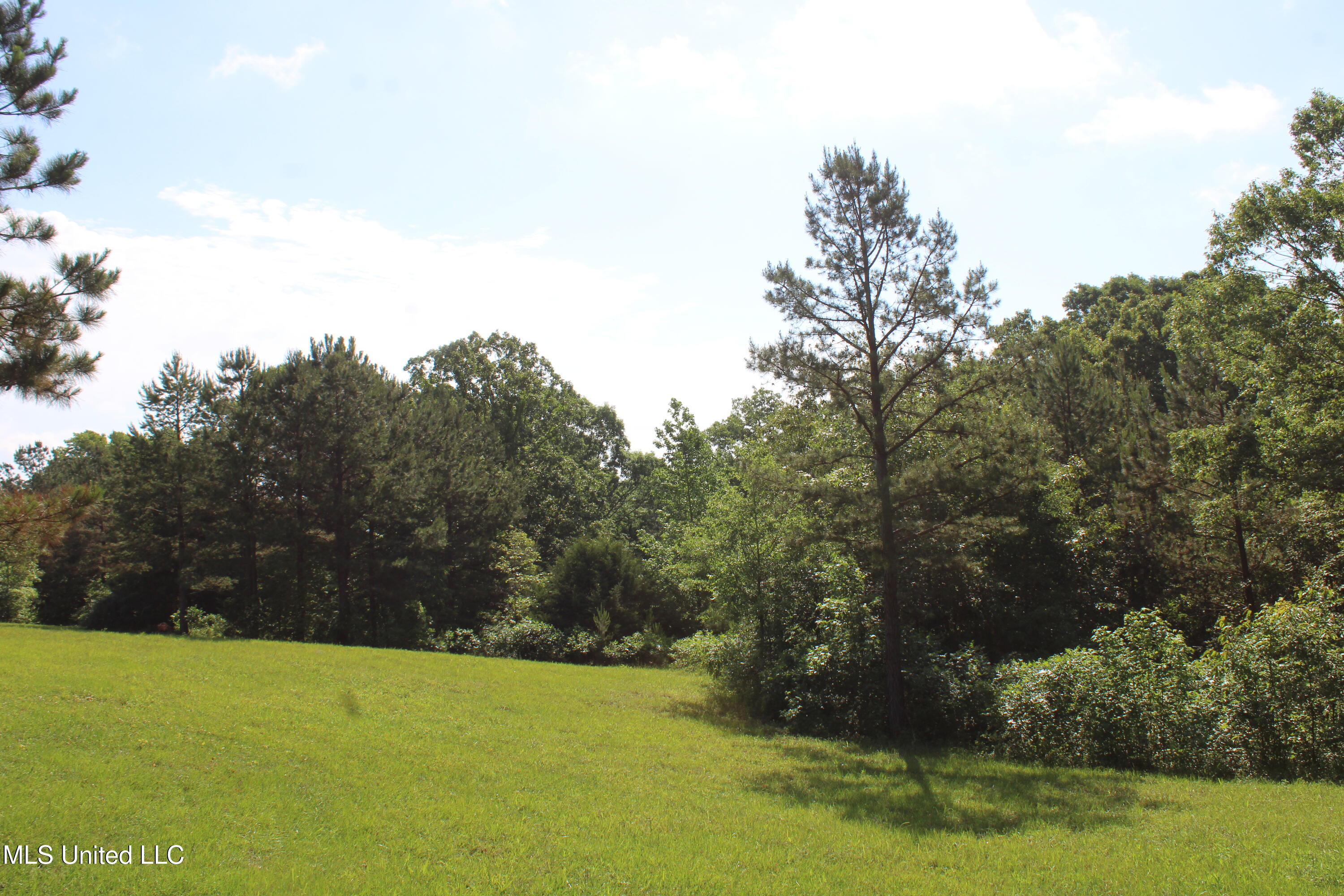 271 Winborn Tower Road, Potts Camp, Mississippi image 37