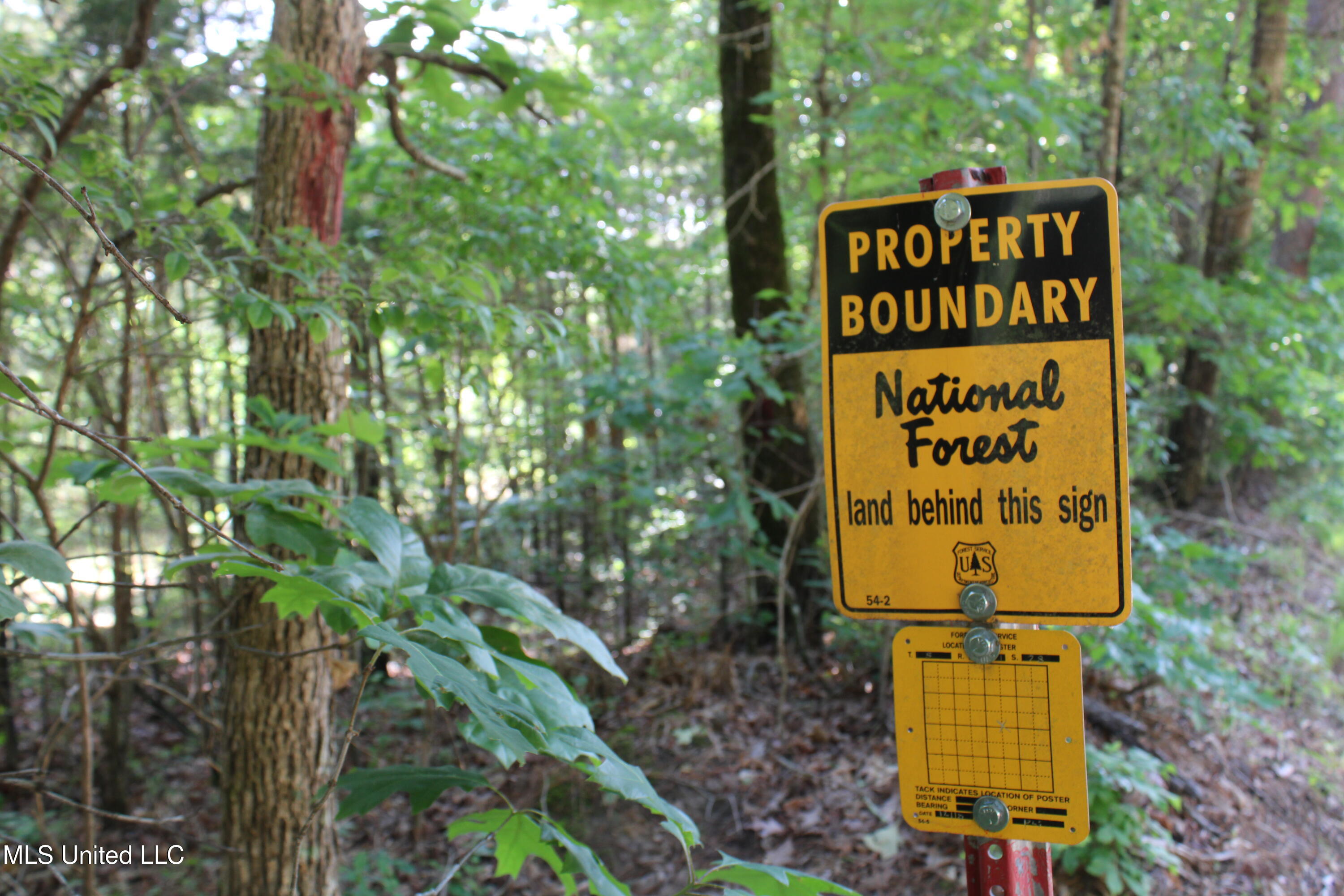 271 Winborn Tower Road, Potts Camp, Mississippi image 21
