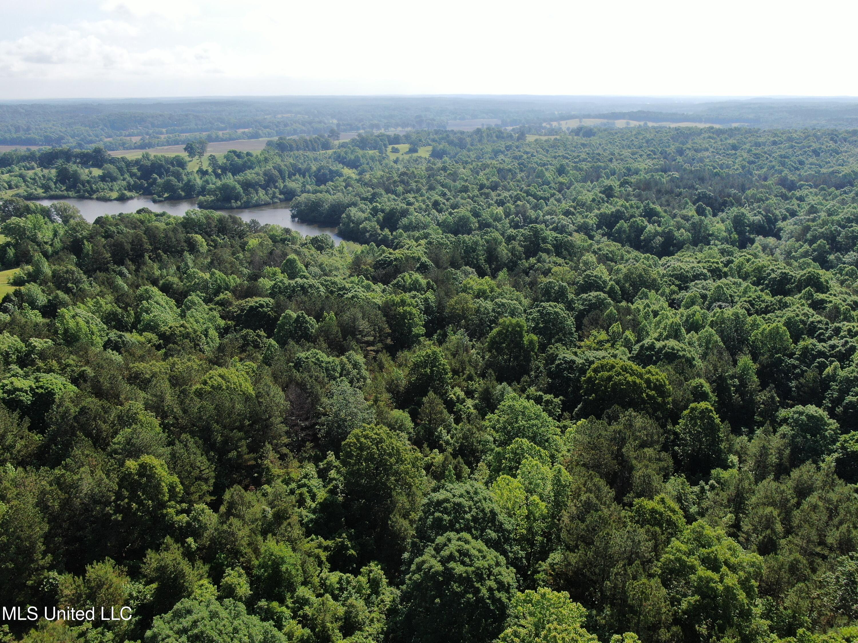 271 Winborn Tower Road, Potts Camp, Mississippi image 14