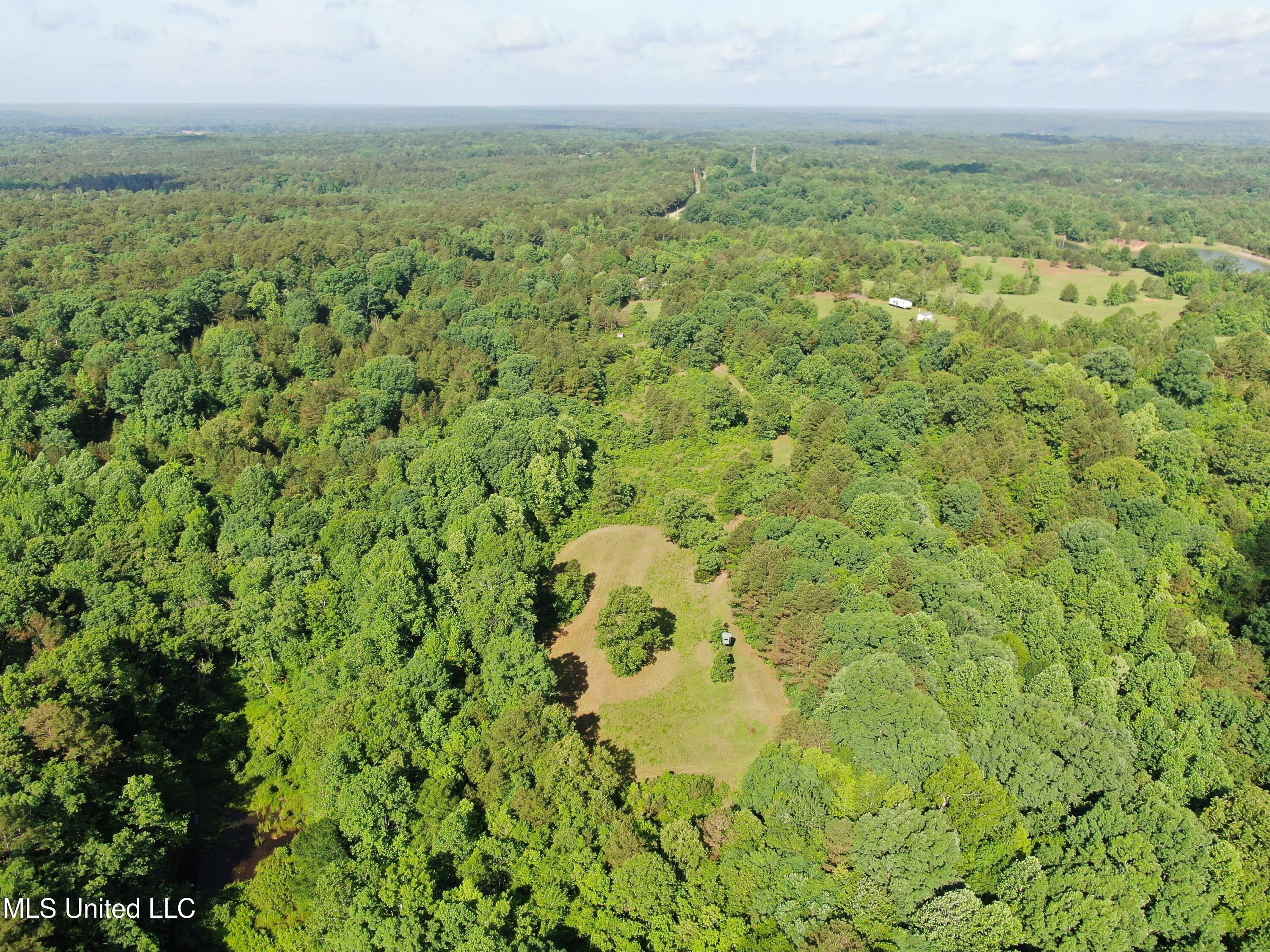 271 Winborn Tower Road, Potts Camp, Mississippi image 10