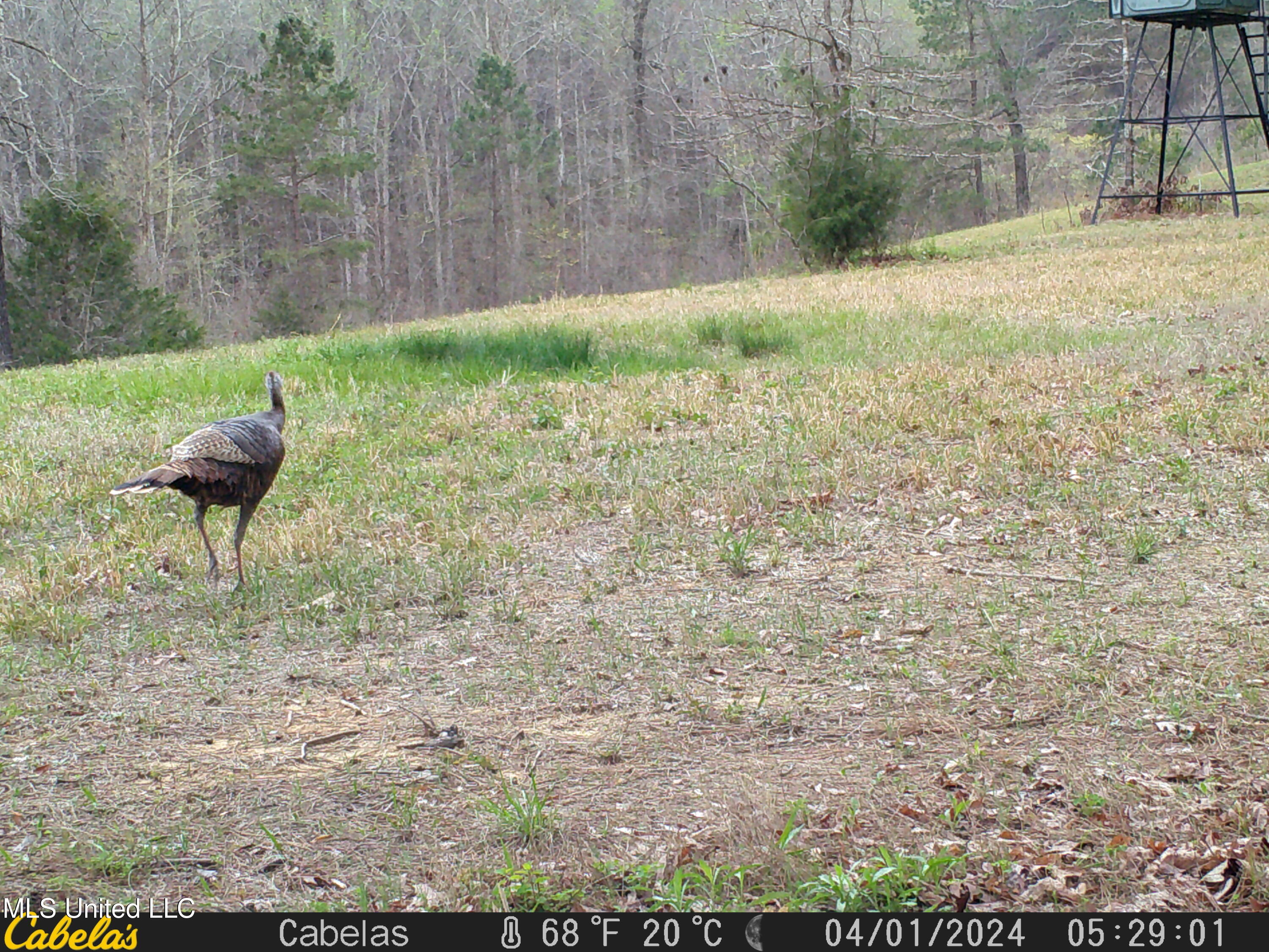 271 Winborn Tower Road, Potts Camp, Mississippi image 48