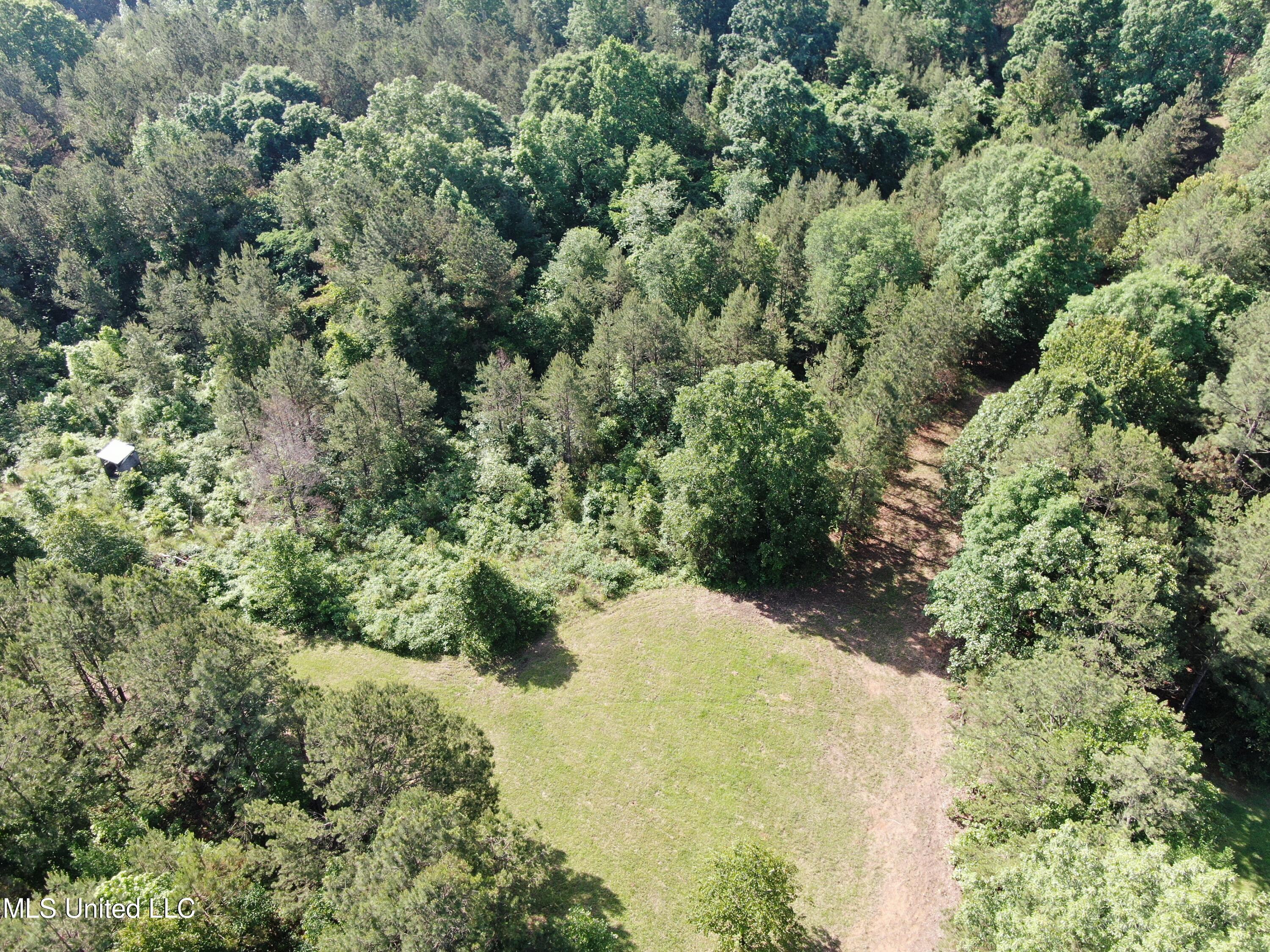 271 Winborn Tower Road, Potts Camp, Mississippi image 17