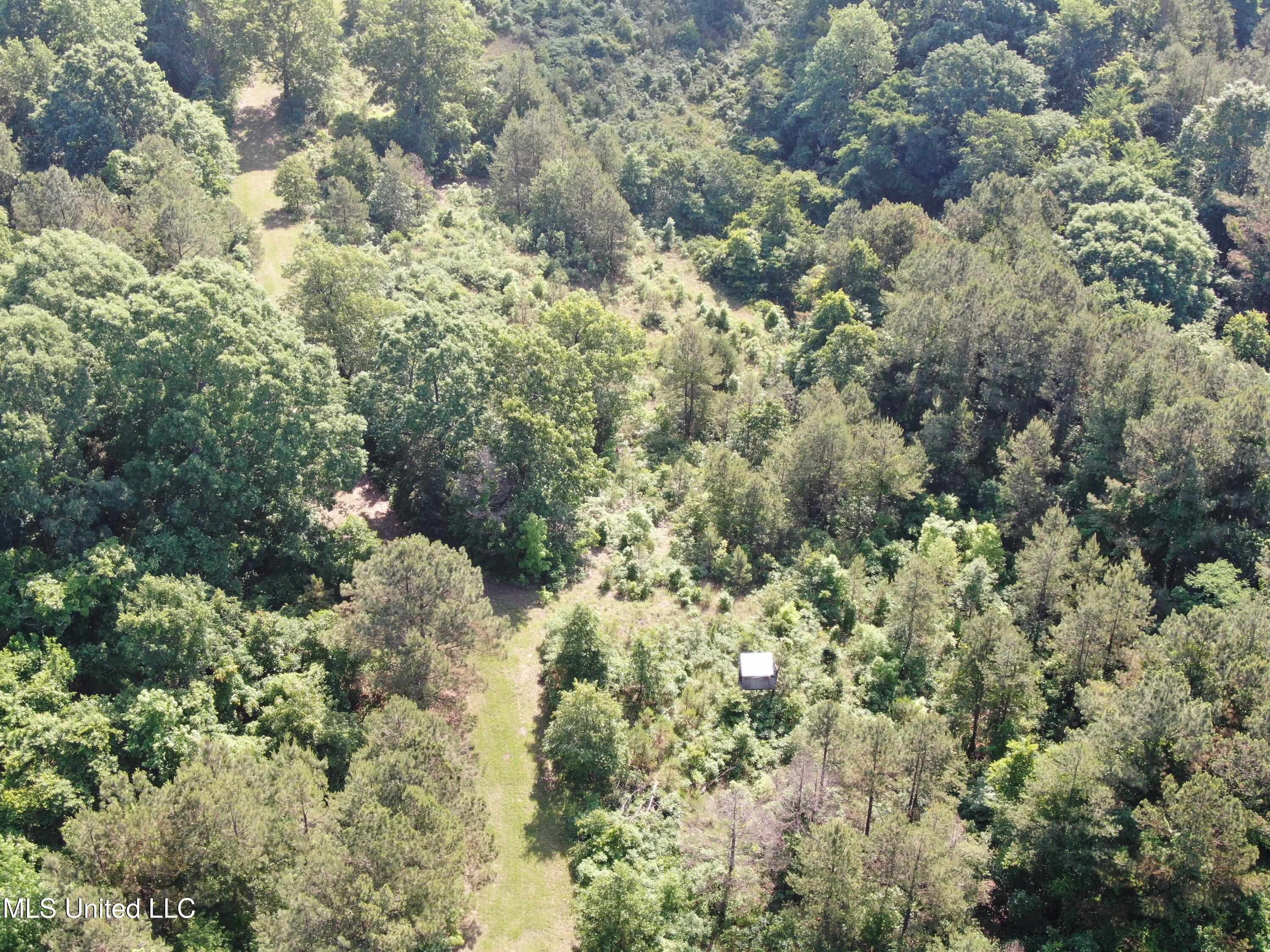 271 Winborn Tower Road, Potts Camp, Mississippi image 4