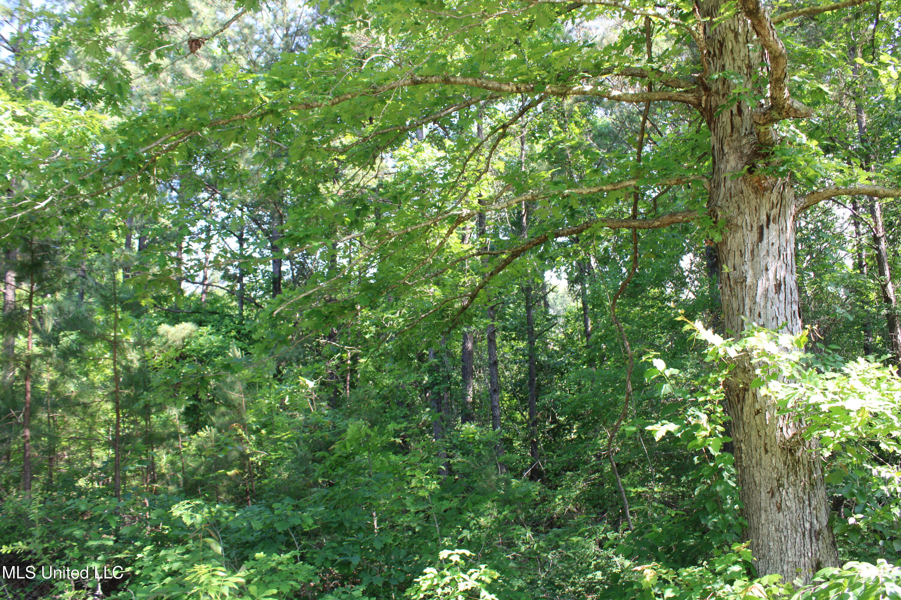 271 Winborn Tower Road, Potts Camp, Mississippi image 30
