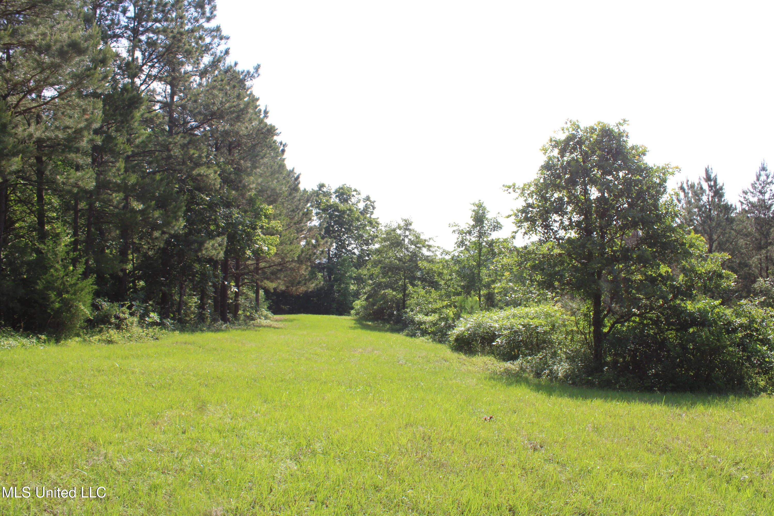 271 Winborn Tower Road, Potts Camp, Mississippi image 25