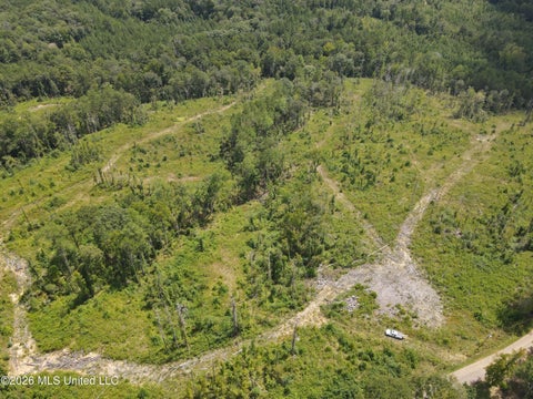Vacant Land For Sale - 398 Wakefield Lane<br/> Brookhaven, MS 39601