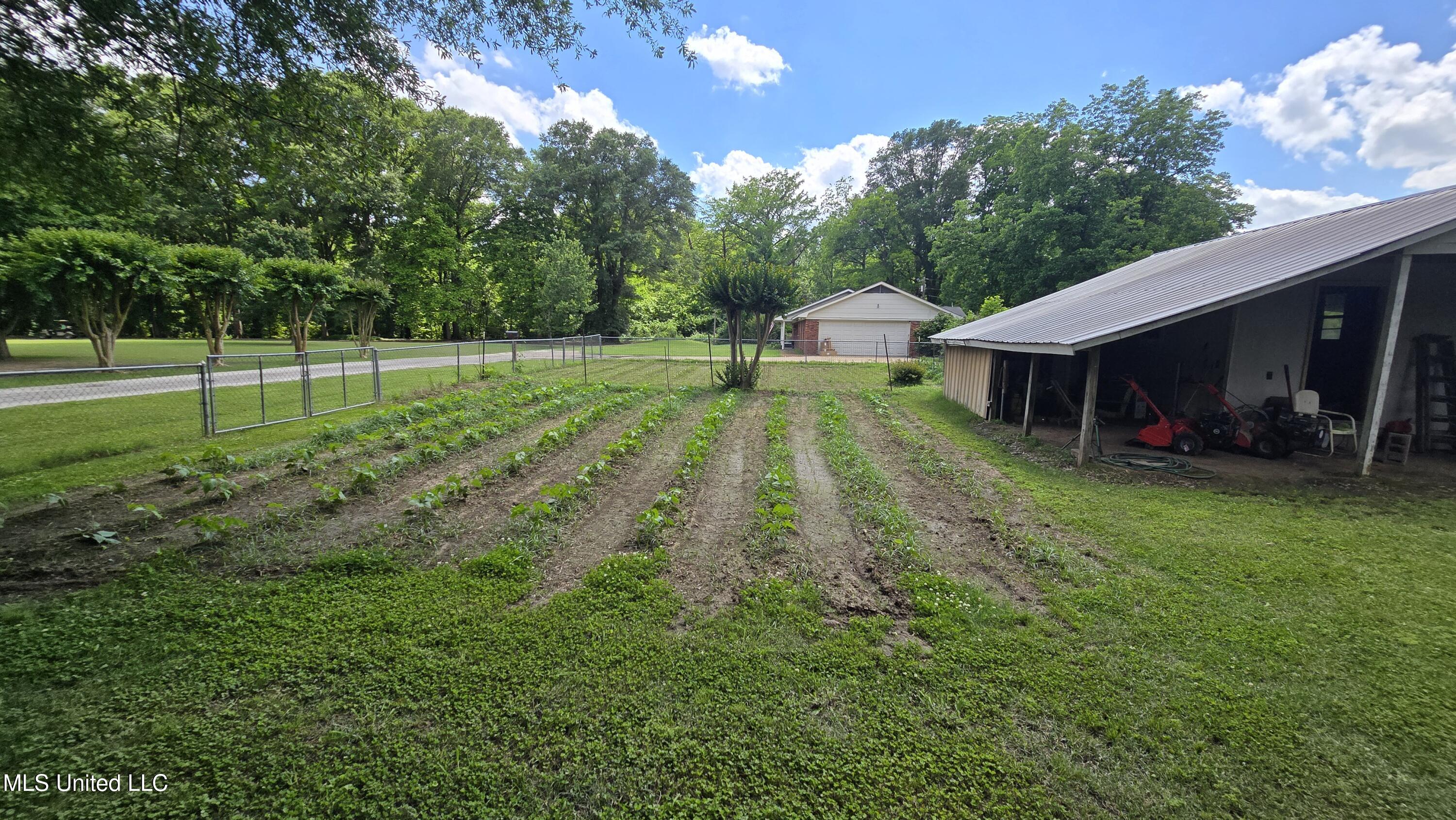 308 Walnut Street, Benoit, Mississippi image 14