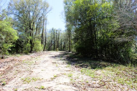 Vacant Land For Sale - 1.7 ACRES Oakhaven Drive<br/> Lucedale, MS 39452