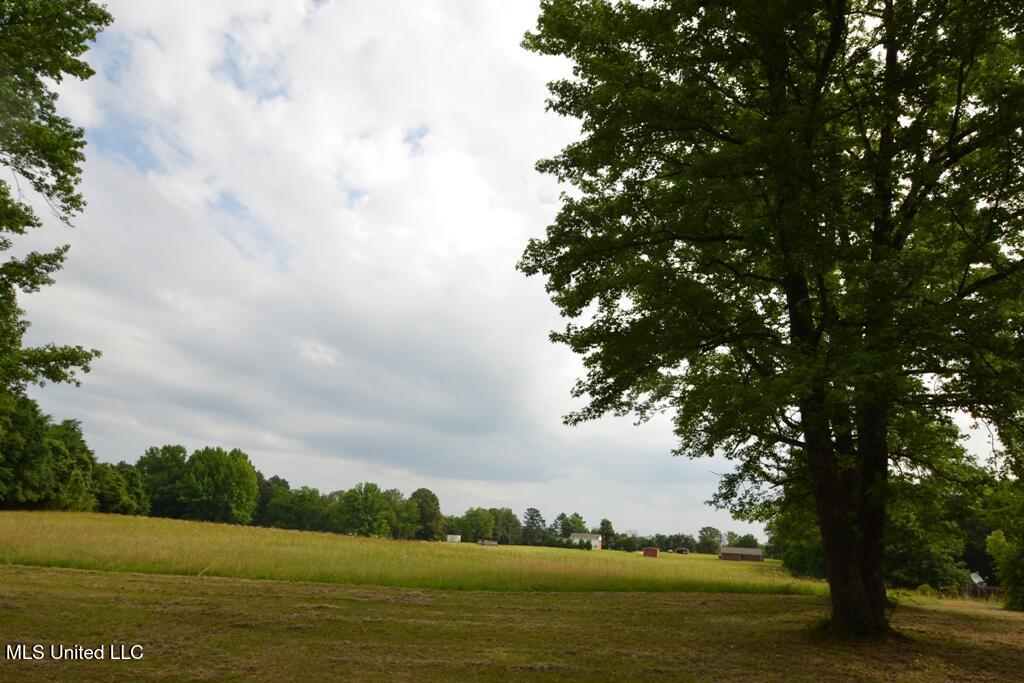 10719 Highway 178, Olive Branch, Mississippi image 7