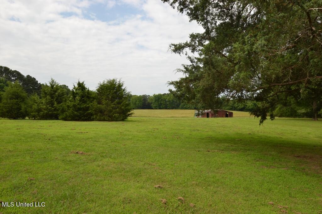 10719 Highway 178, Olive Branch, Mississippi image 5