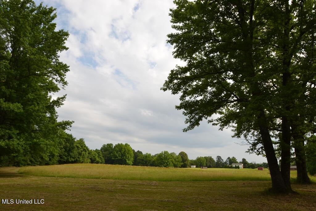 10719 Highway 178, Olive Branch, Mississippi image 2