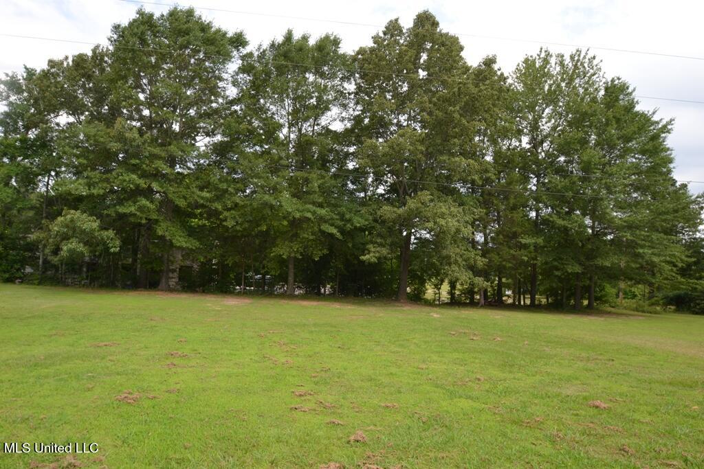 10719 Highway 178, Olive Branch, Mississippi image 11