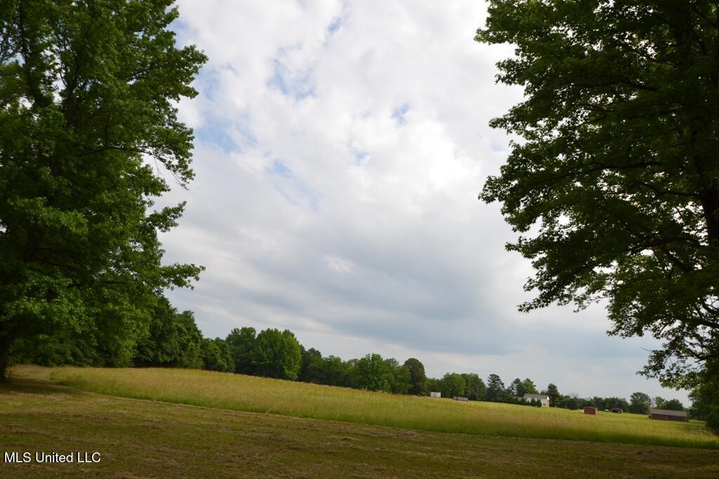 10719 Highway 178, Olive Branch, Mississippi image 10