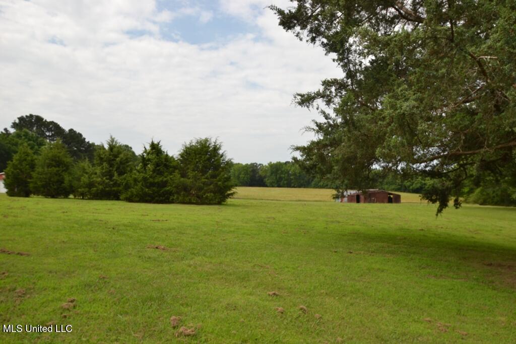 10719 Highway 178, Olive Branch, Mississippi image 3