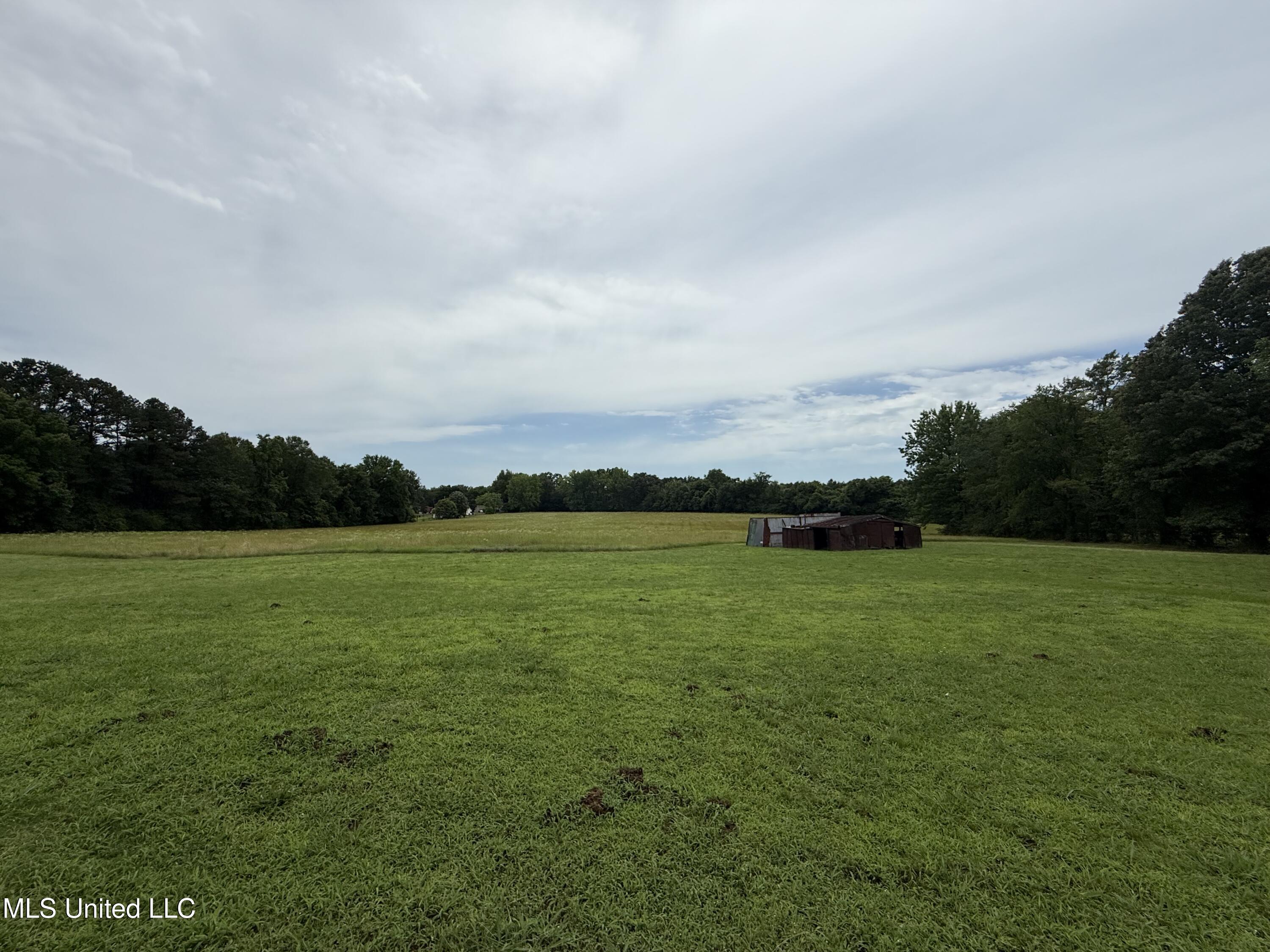 10719 Highway 178, Olive Branch, Mississippi image 12