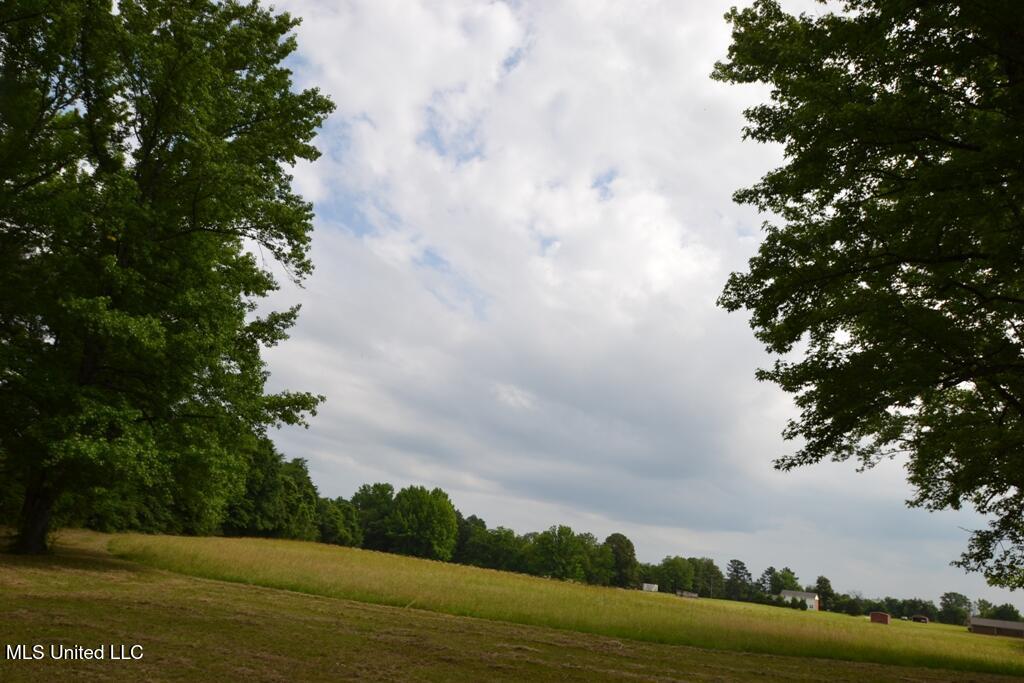 10719 Highway 178, Olive Branch, Mississippi image 13