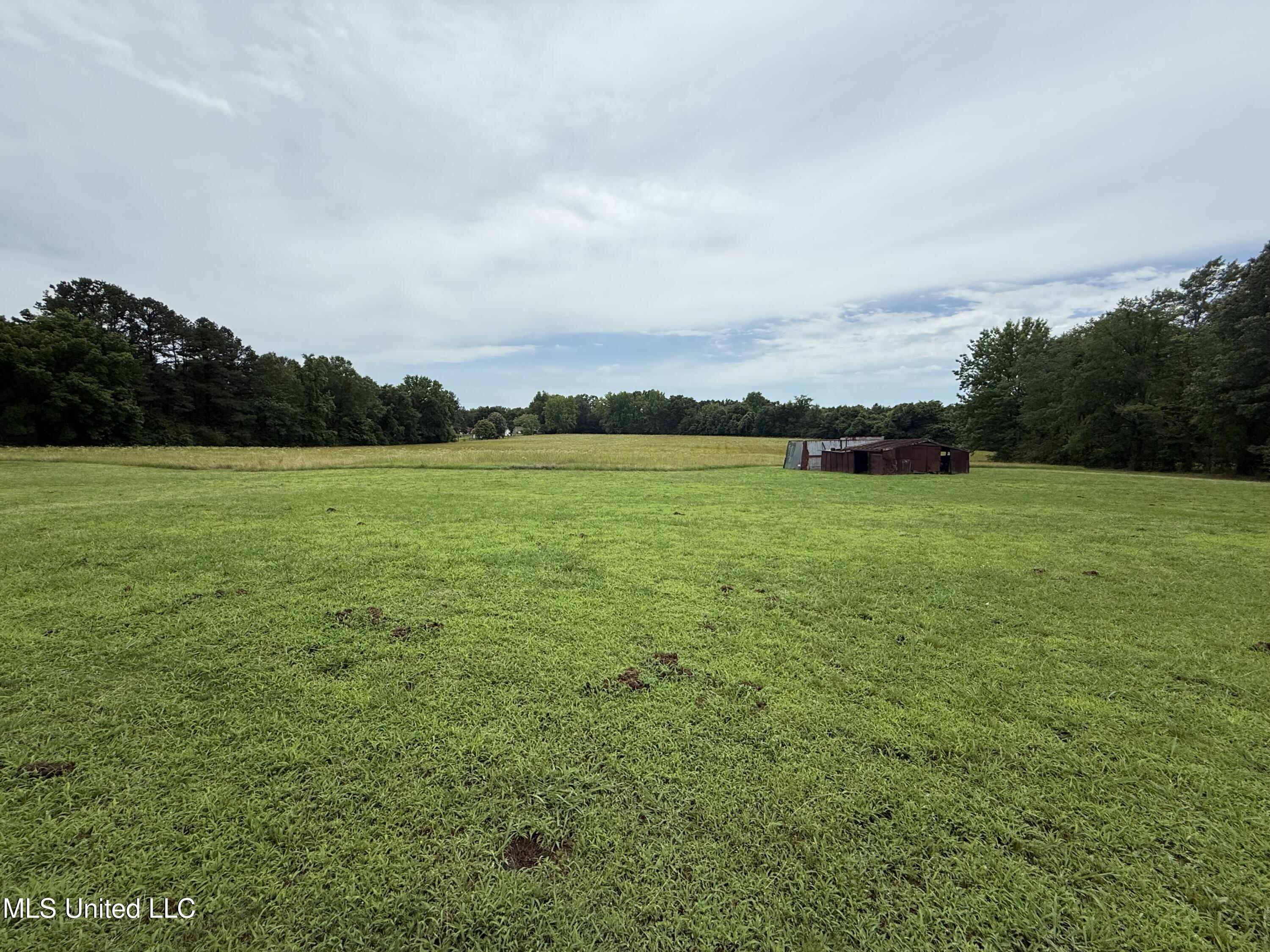 10719 Highway 178, Olive Branch, Mississippi image 1