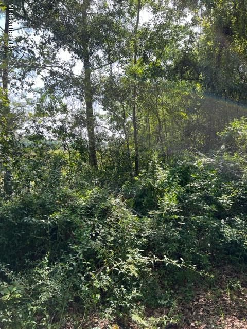 Vacant Land For Sale - Orrell Drive<br/> Gautier, MS 39553