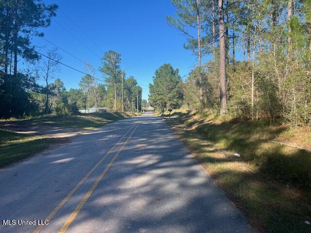 John Smith Road, Vancleave, Mississippi image 5