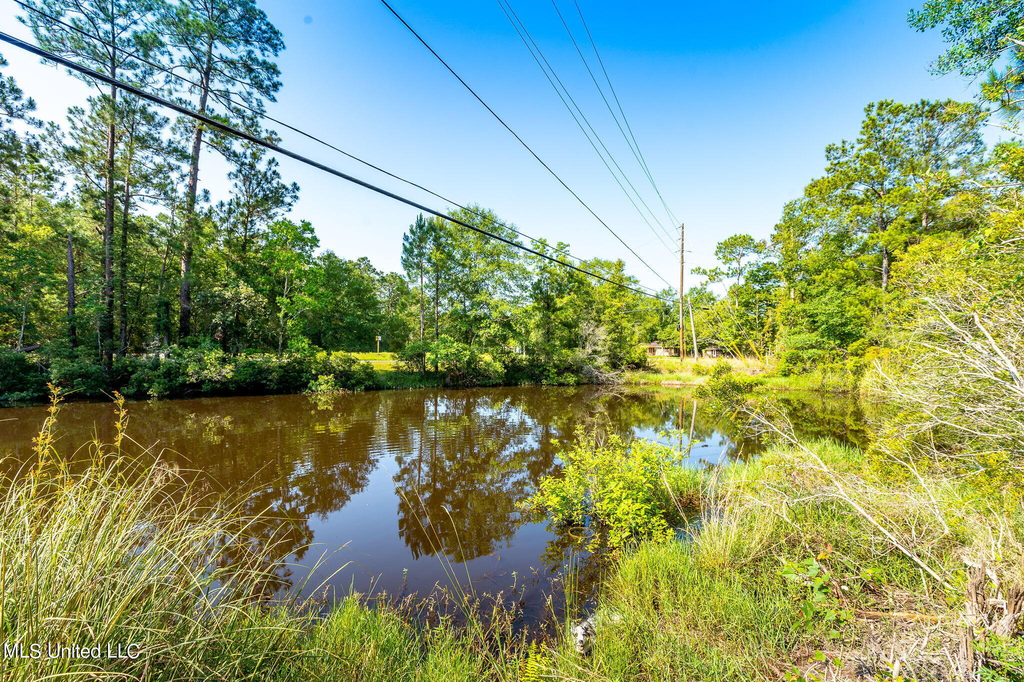 Lower Bay Road, Bay Saint Louis, Mississippi image 12