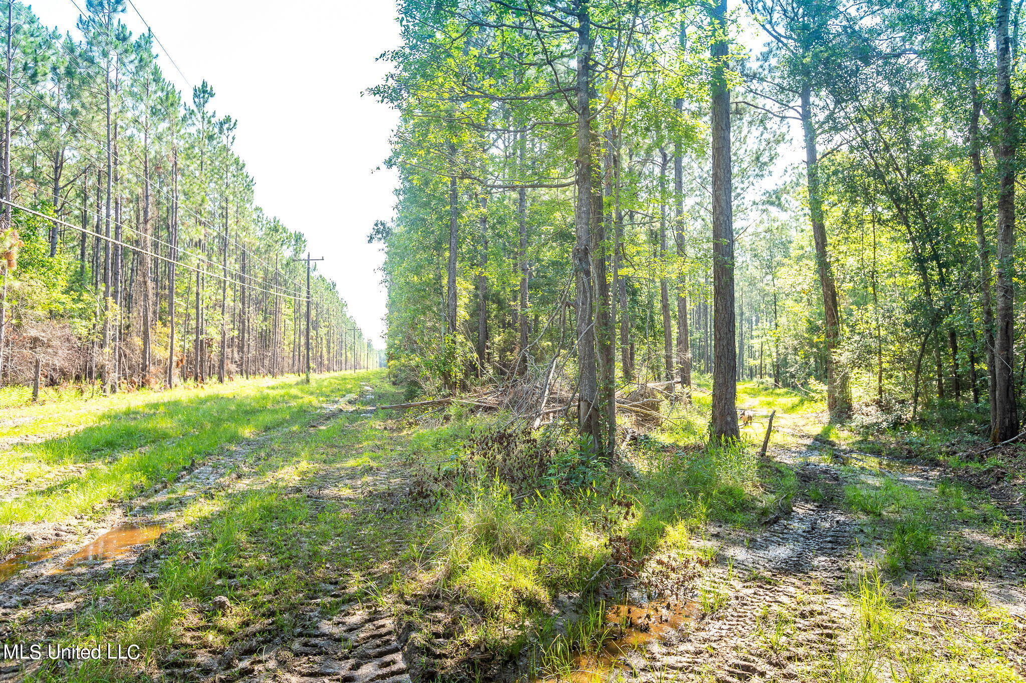 Lower Bay Road, Bay Saint Louis, Mississippi image 10