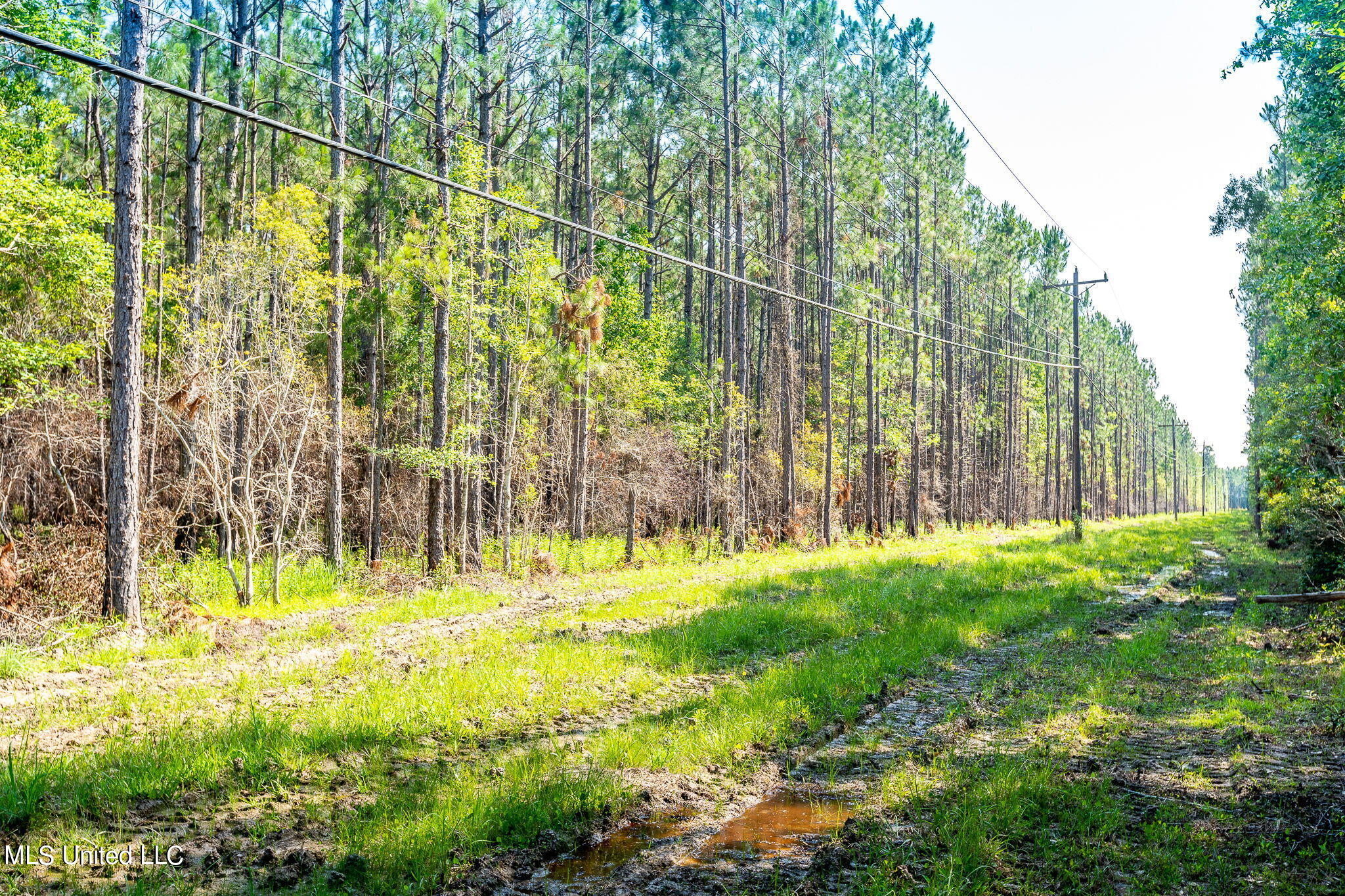 Lower Bay Road, Bay Saint Louis, Mississippi image 11