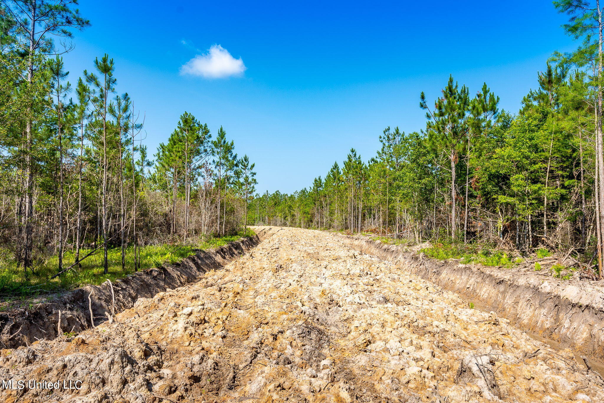 Lower Bay Road, Bay Saint Louis, Mississippi image 6