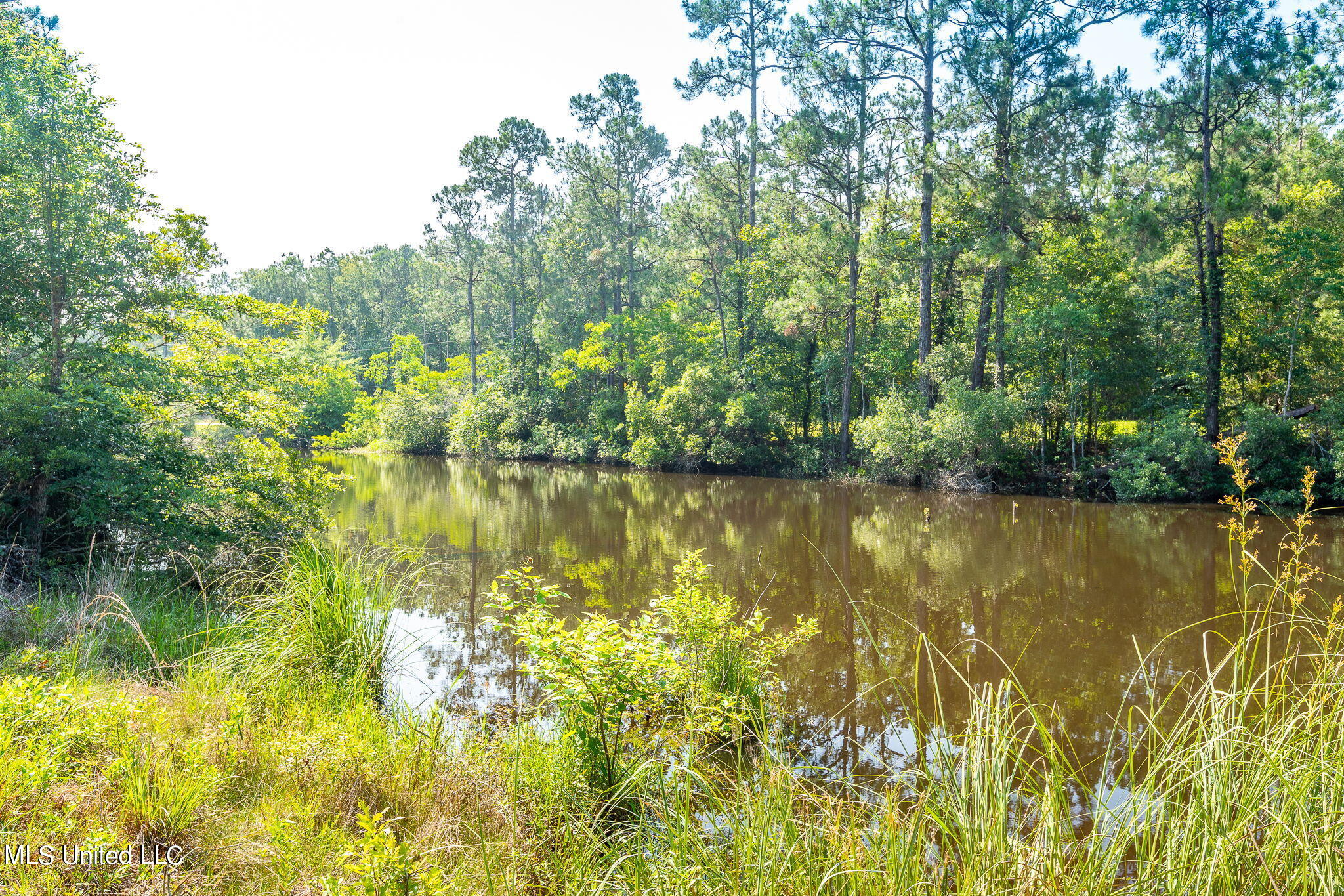 Lower Bay Road, Bay Saint Louis, Mississippi image 13