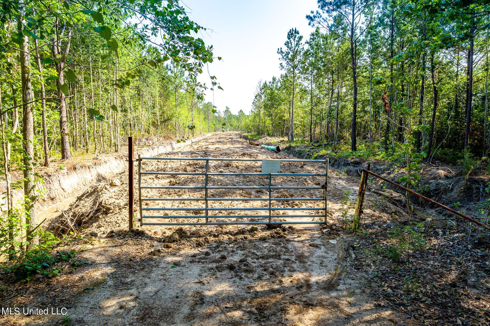 Lower Bay Road, Bay Saint Louis, Mississippi image 2