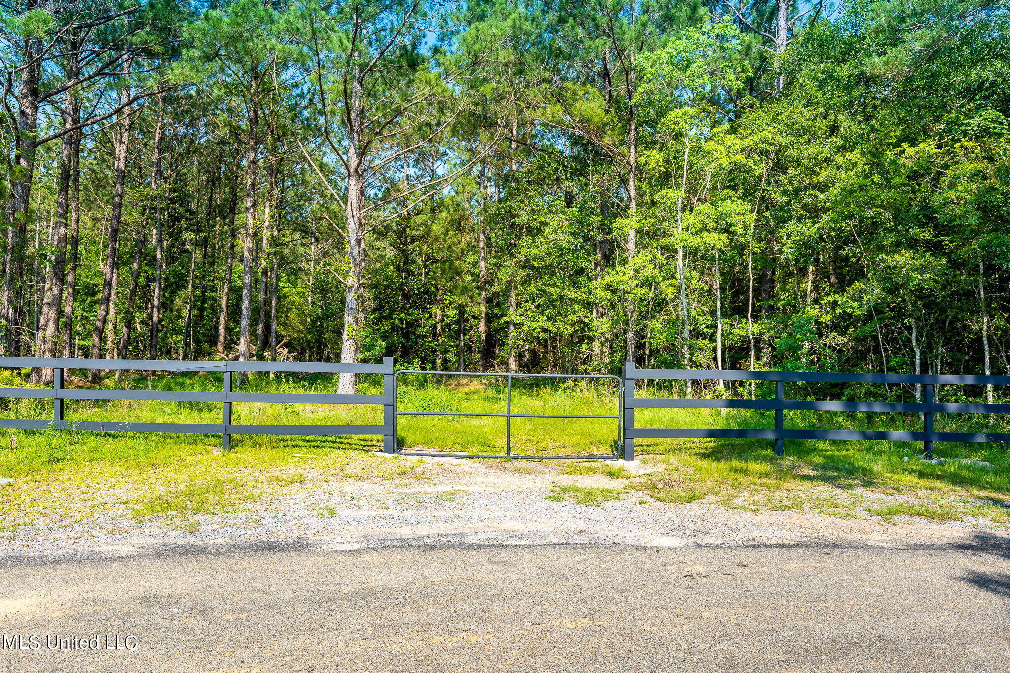 Lower Bay Road, Bay Saint Louis, Mississippi image 1