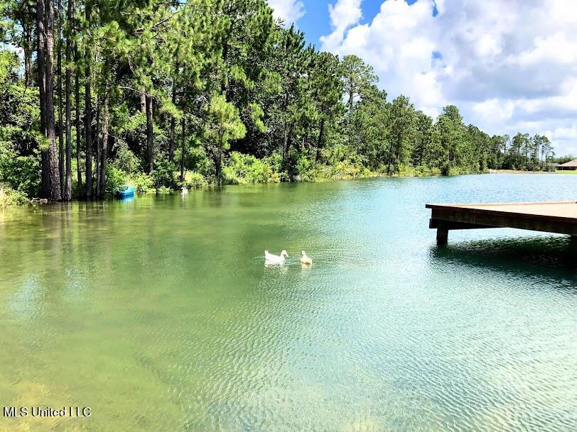 6268 Emerald Lake Drive, Biloxi, Mississippi image 43