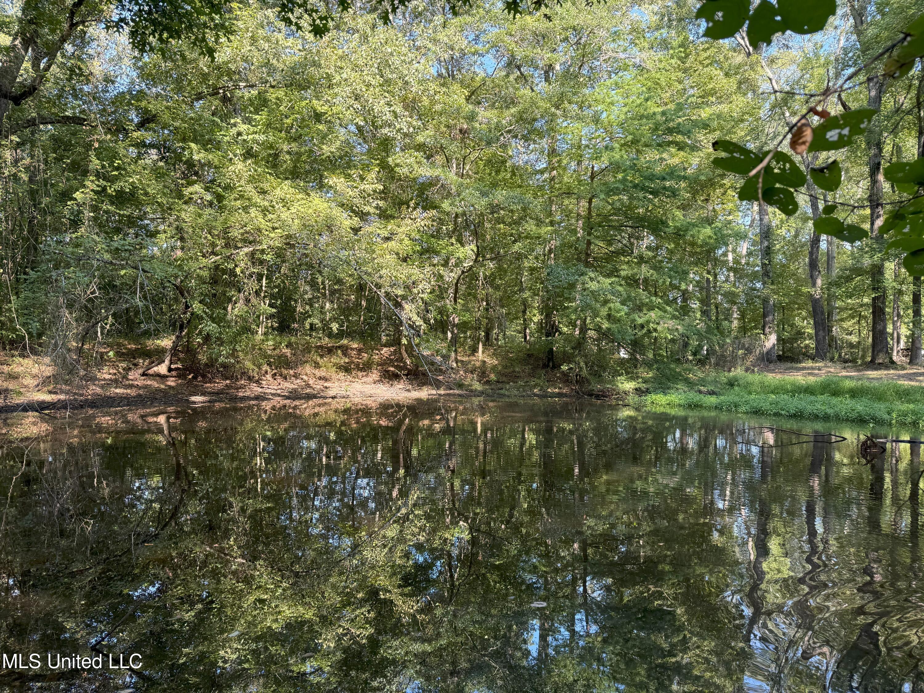 Pennebaker Road, Vicksburg, Mississippi image 9