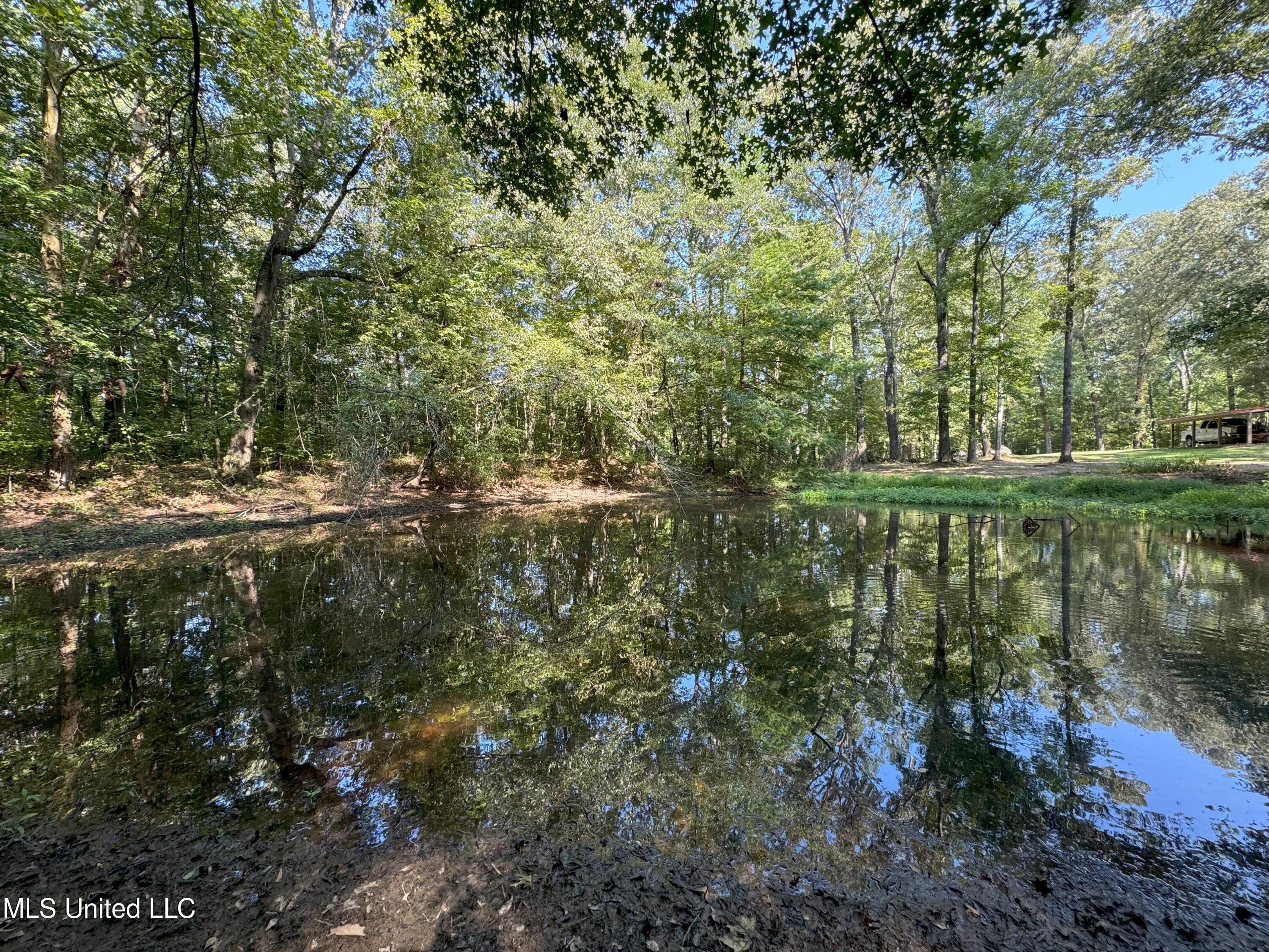 Pennebaker Road, Vicksburg, Mississippi image 8