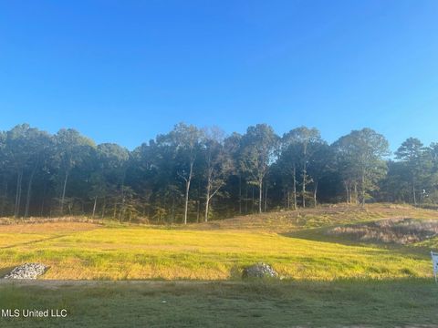 Vacant Land For Sale - 8 Plank Road<br/> Hernando, MS 38632
