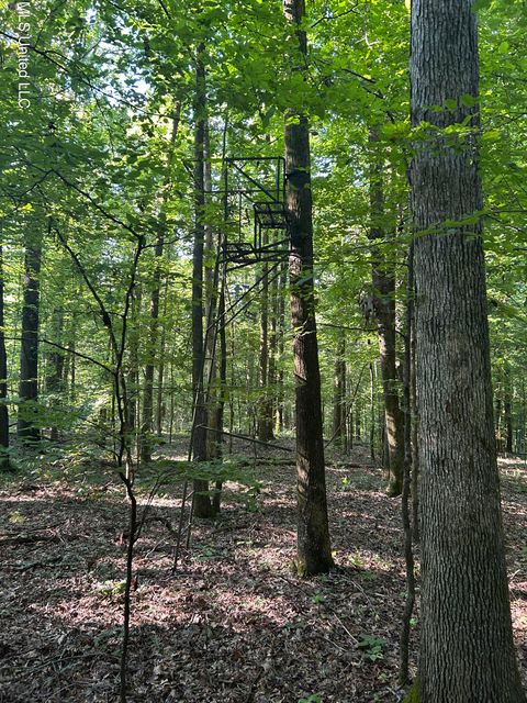 Vacant Land For Sale - Avant Road<br/> Panola County, Crenshaw, MS 38621