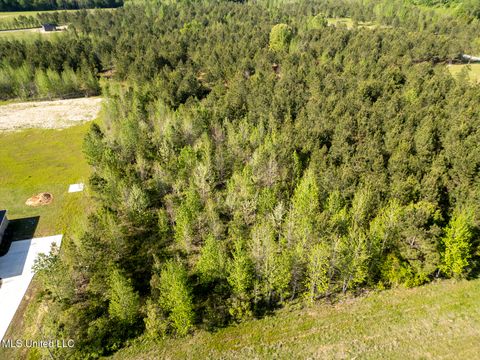 Vacant Land For Sale - Stout Road<br/> Canton, MS 39046