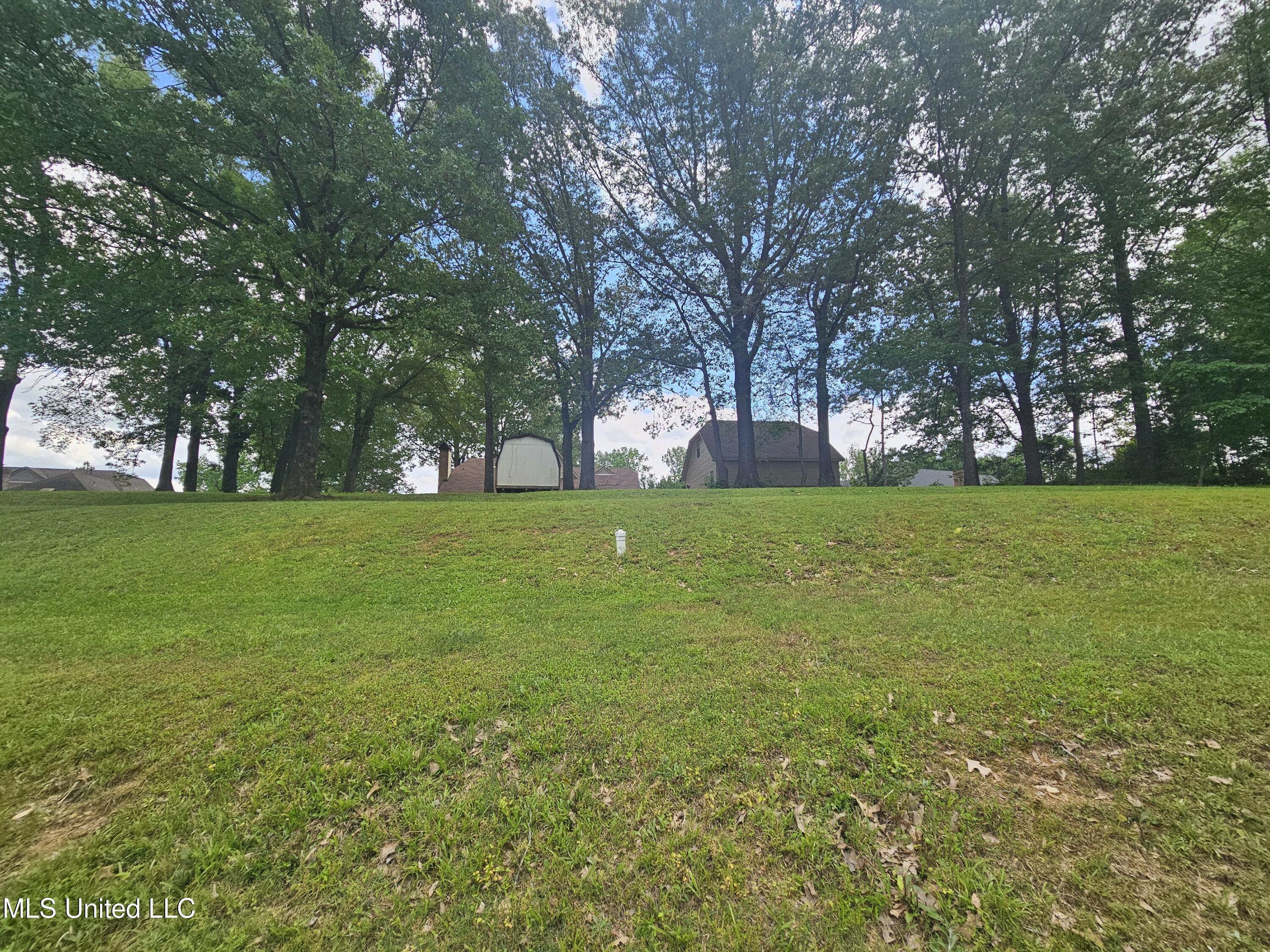 4625 Wealthy Cove, Horn Lake, Mississippi image 30