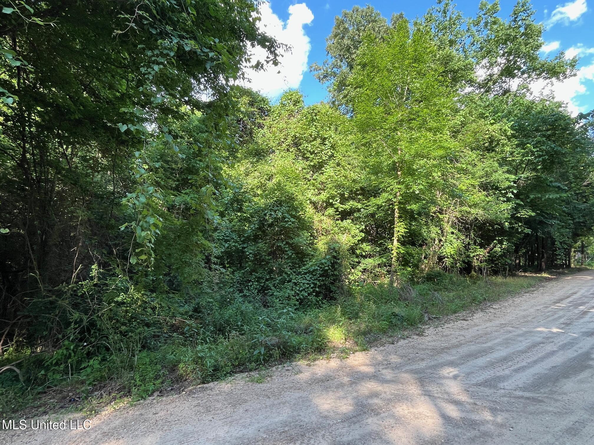 3 +/- Ac Vicie Lane, Leakesville, Mississippi image 2