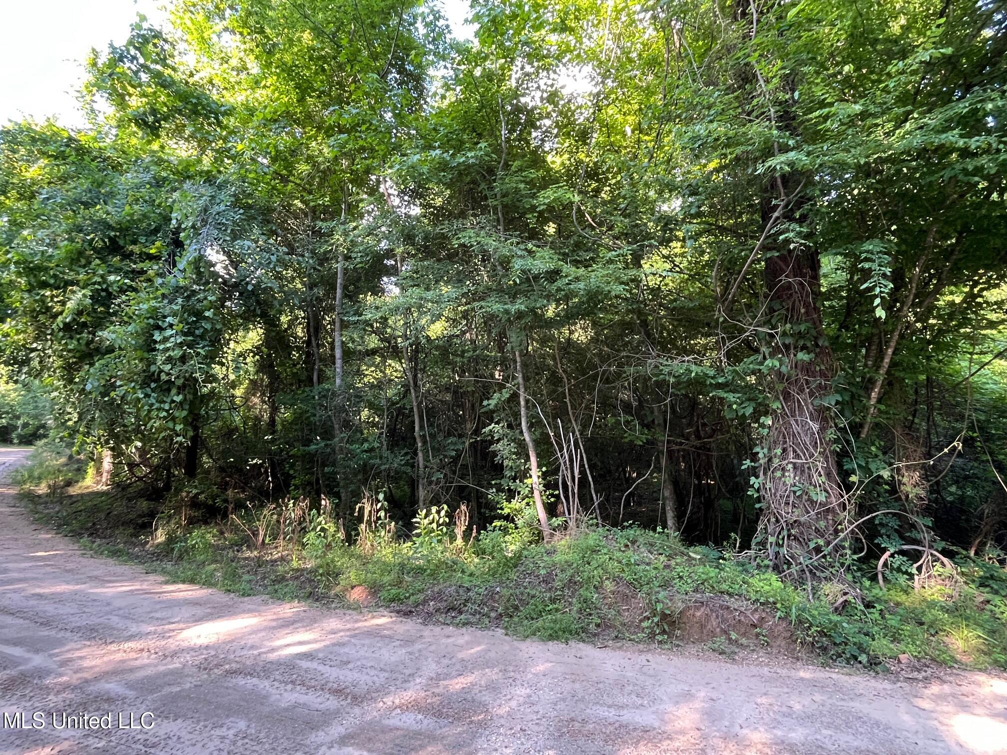 3 +/- Ac Vicie Lane, Leakesville, Mississippi image 3