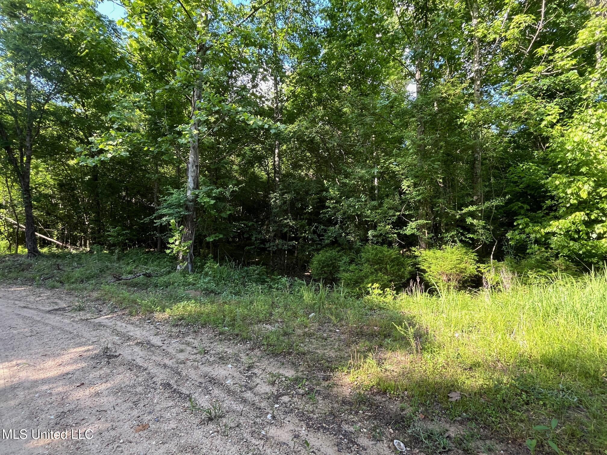 3 +/- Ac Vicie Lane, Leakesville, Mississippi image 5